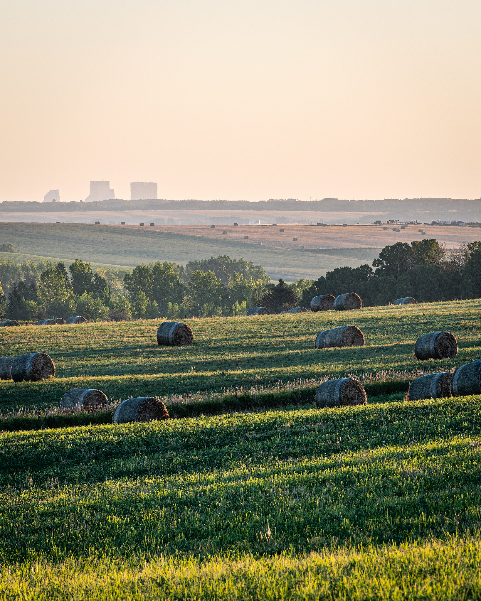 Hay bails/farm field, Foothills, AB