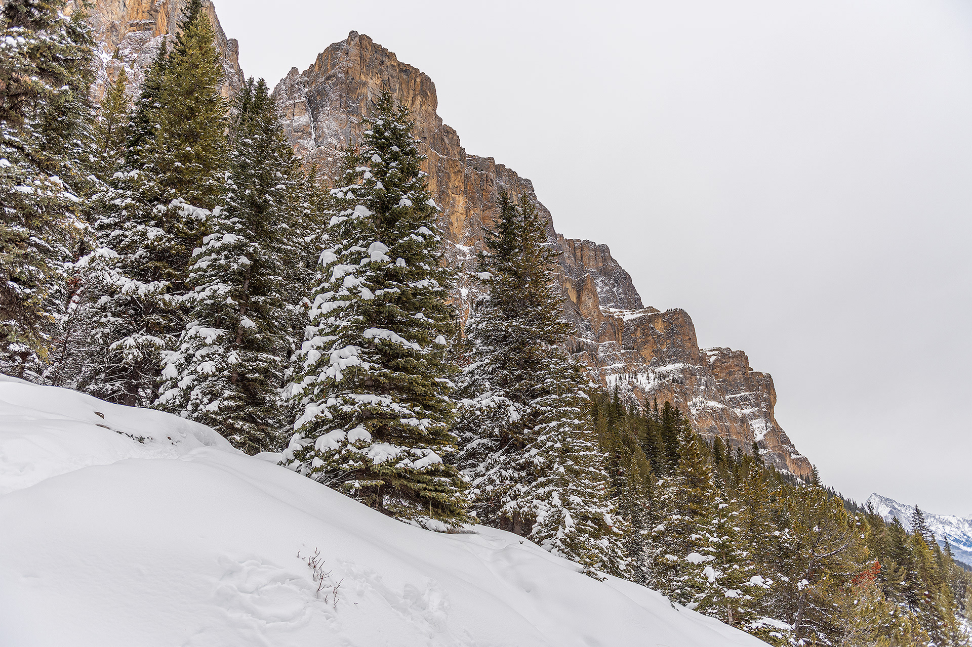 An upward view of part of Castle Mountain from the Castle Lookout hiking trail in Banff National Park, AB