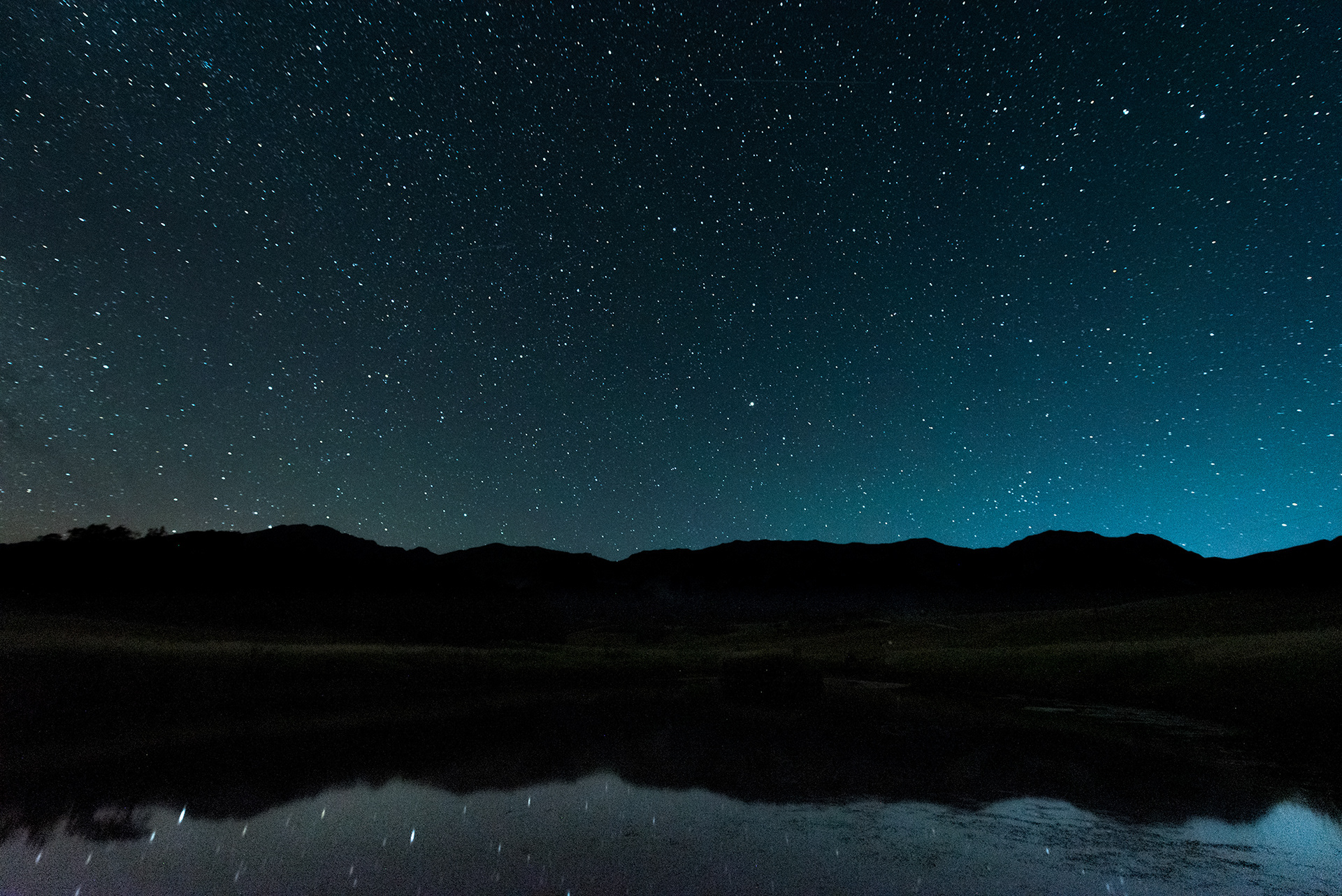 stars reflecting off the pond water