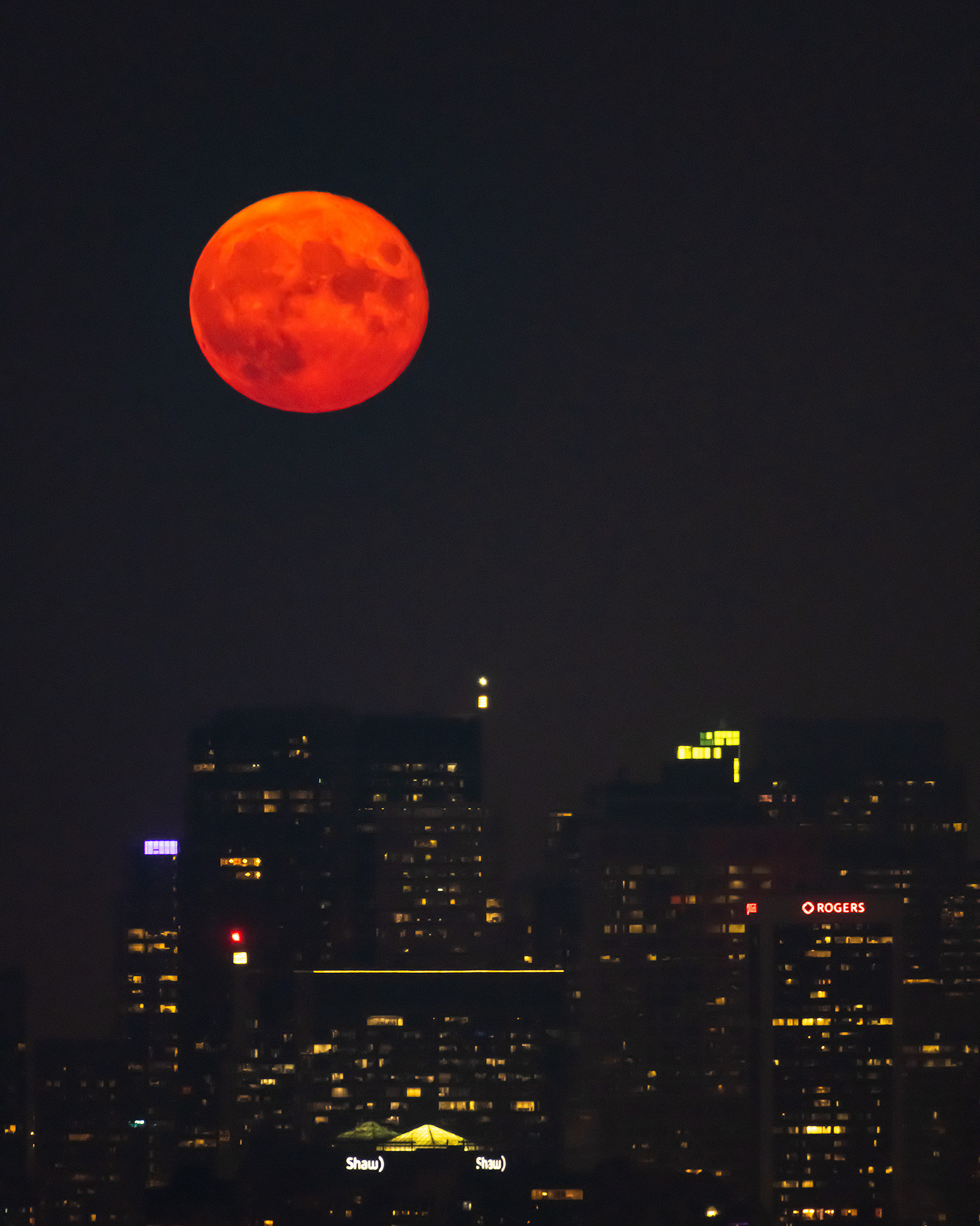 4x5 Cityscape of the tops of some North Downtown Calgary buildings with the Harvest Moon, from Edworthy Park, Calgary, AB