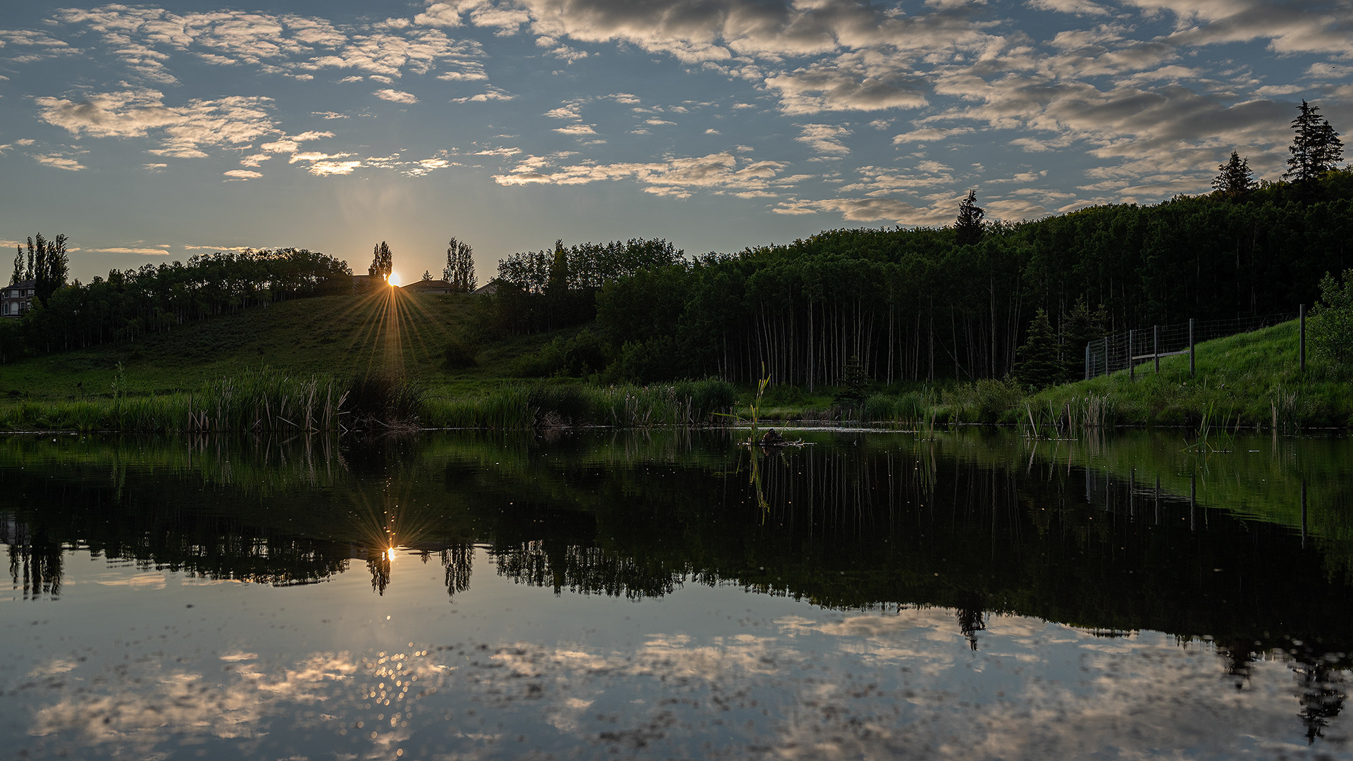 Landscape at Sunrise, Marshall Springs ponds, Fish Creek Provincial Park, Calgary, AB