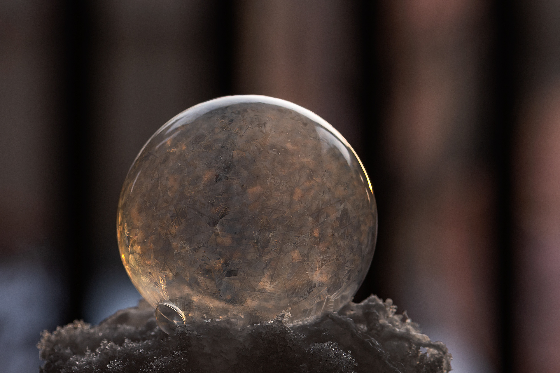 Frozen Bubble experiment (-19 degrees Celsius), Calgary, AB