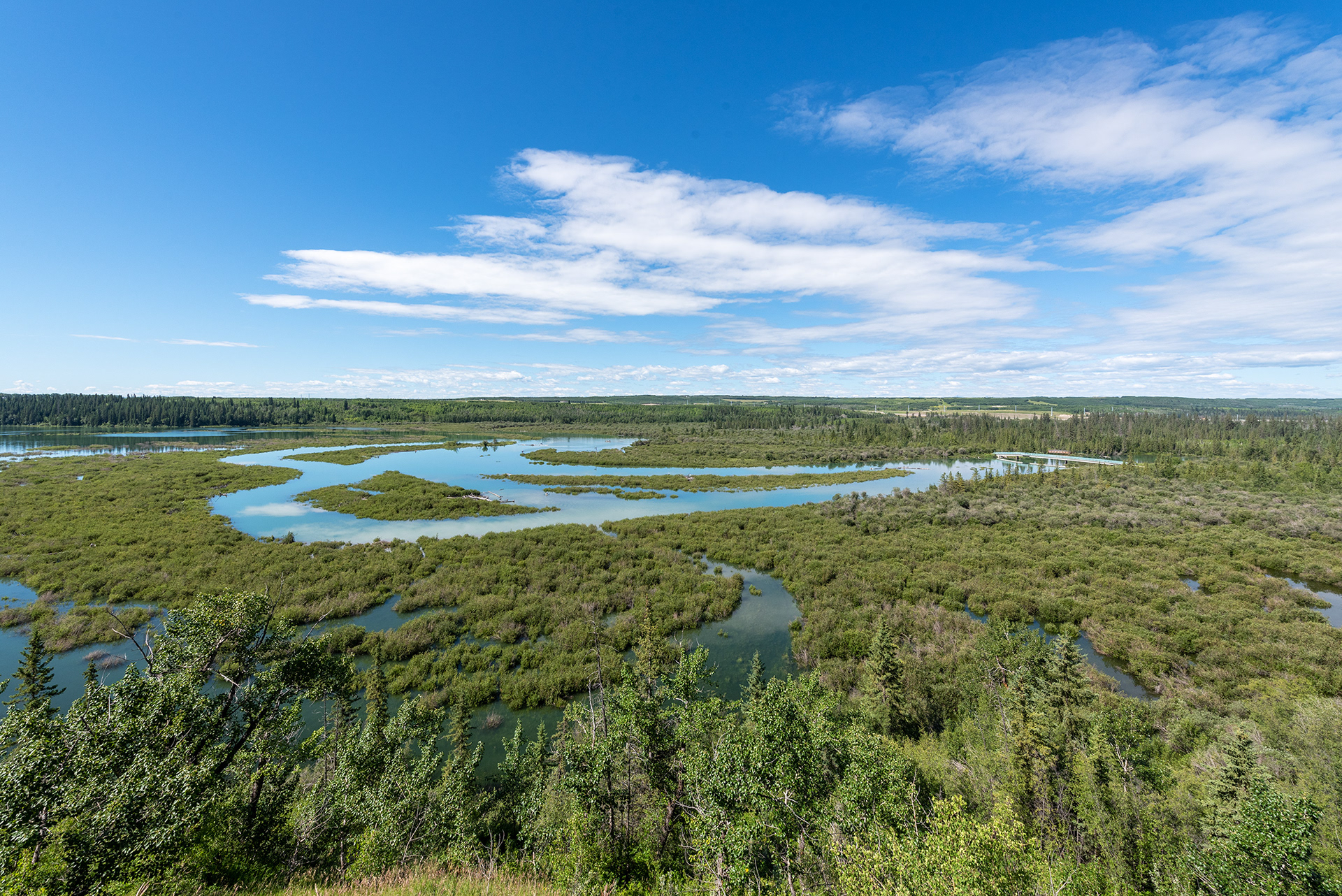View from the ridge, overlooking the delta