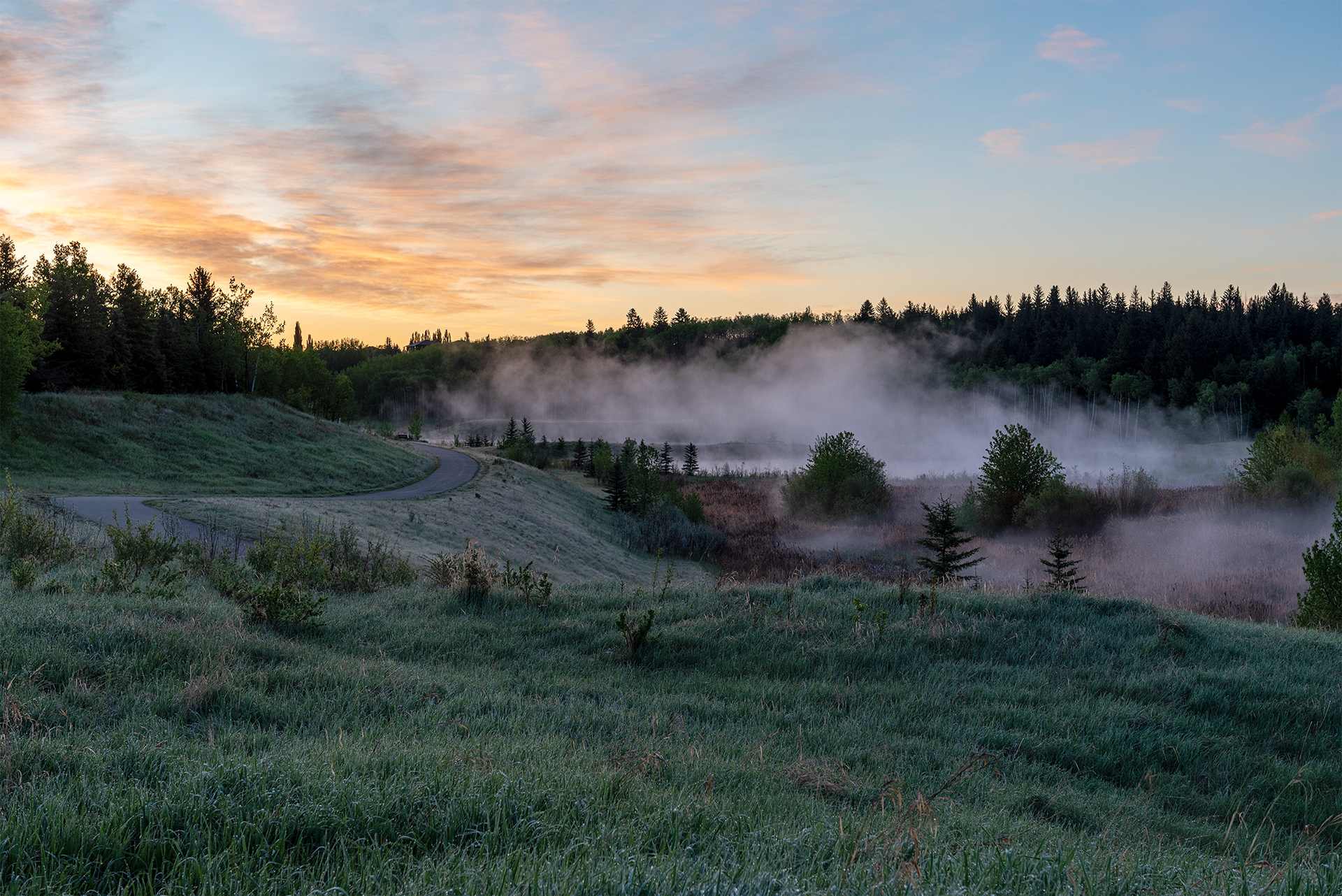 sunrise, Marshall Springs, Fish Creek Provincial Park, Calgary, Alberta