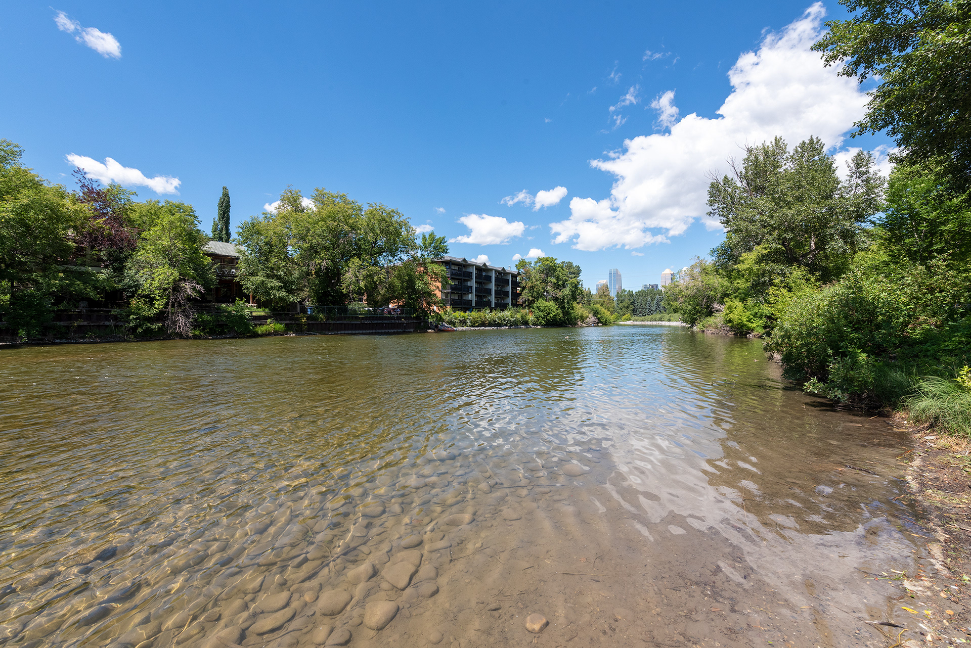 View of the Elbow River from near Lindsay Park