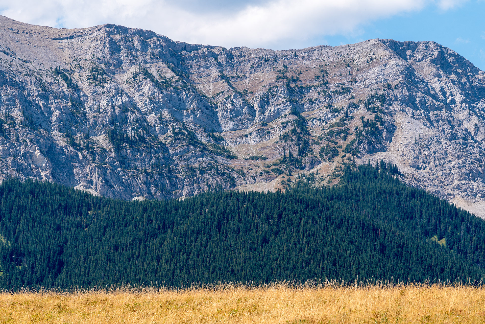 Livingstone Range (portion)