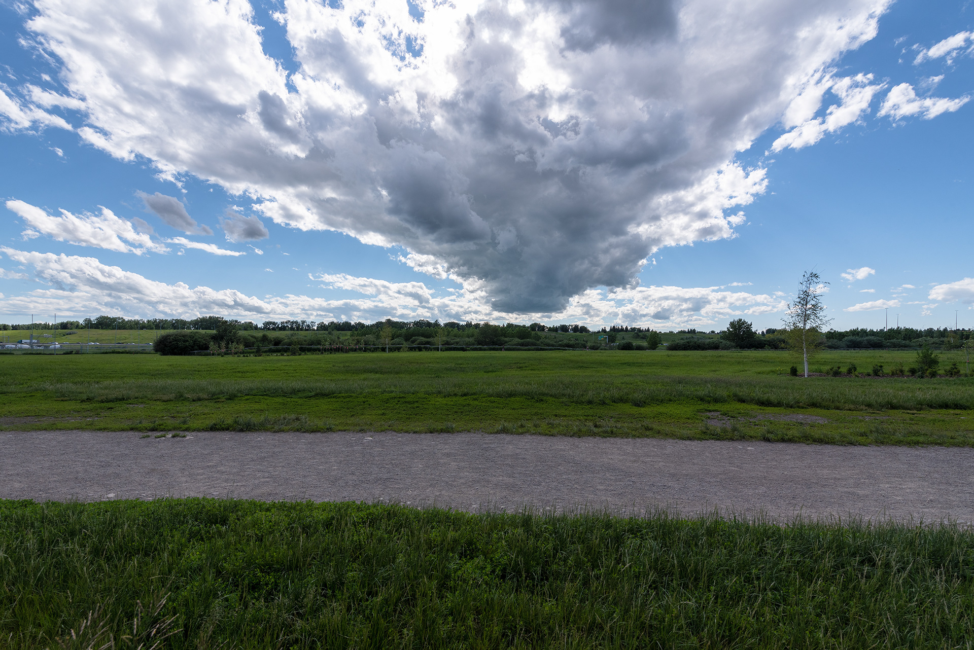 View of a nasty cloud heading my way while passing through Sue Higgins Park, Calgary, Alberta