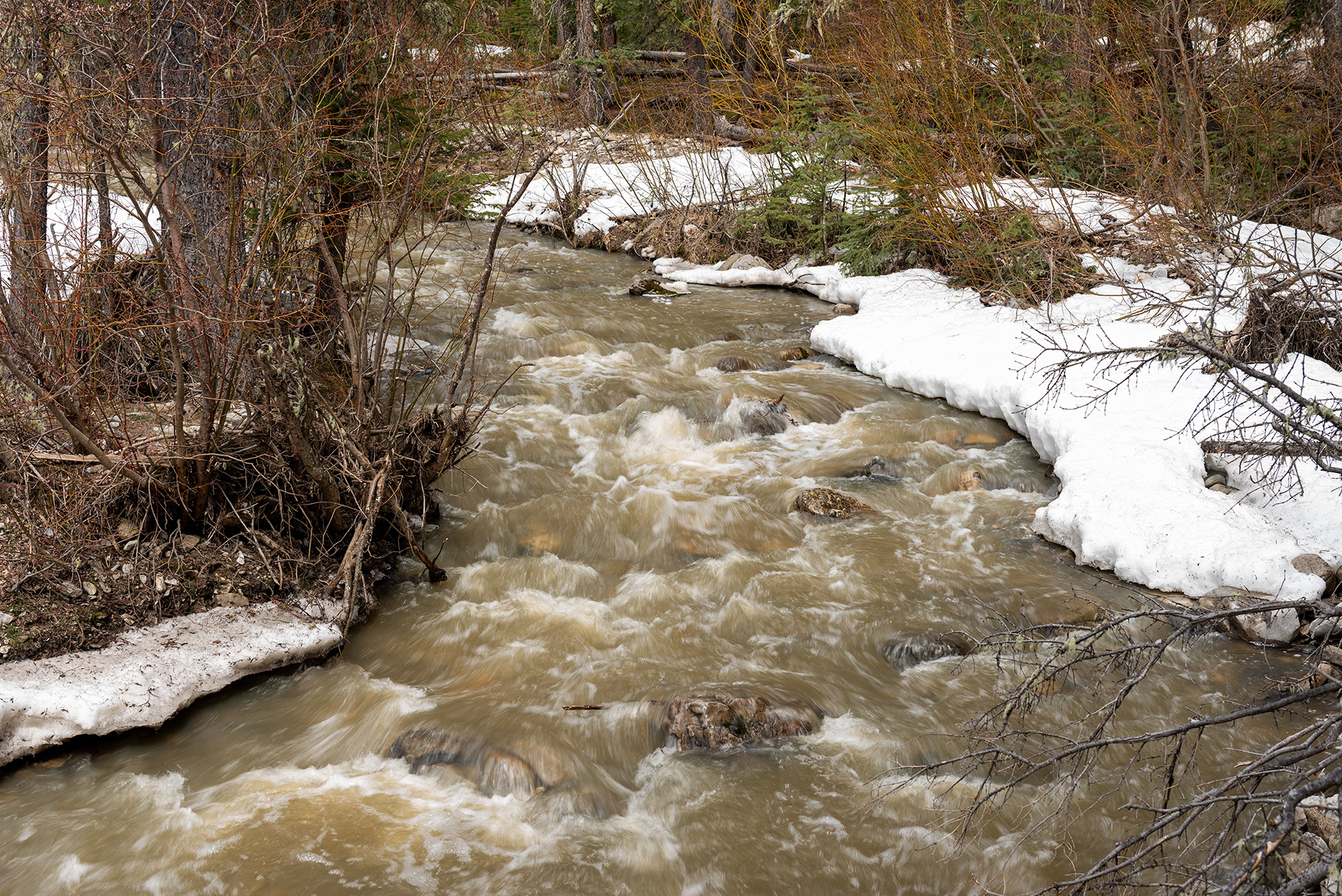 Prairie Creek, Elbow Falls, Alberta