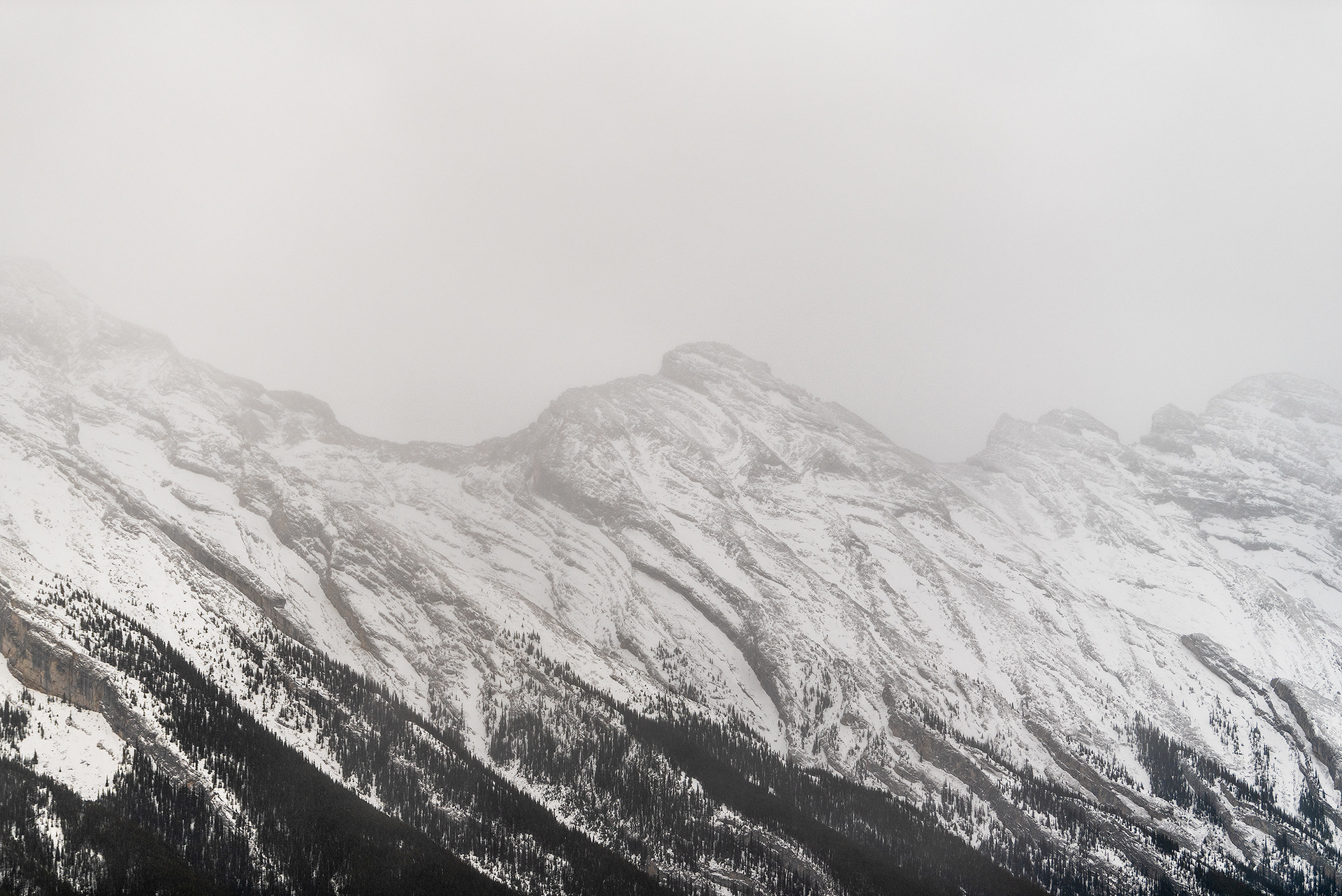 A view from the Sulphur Mountain hiking trail in Banff National Park