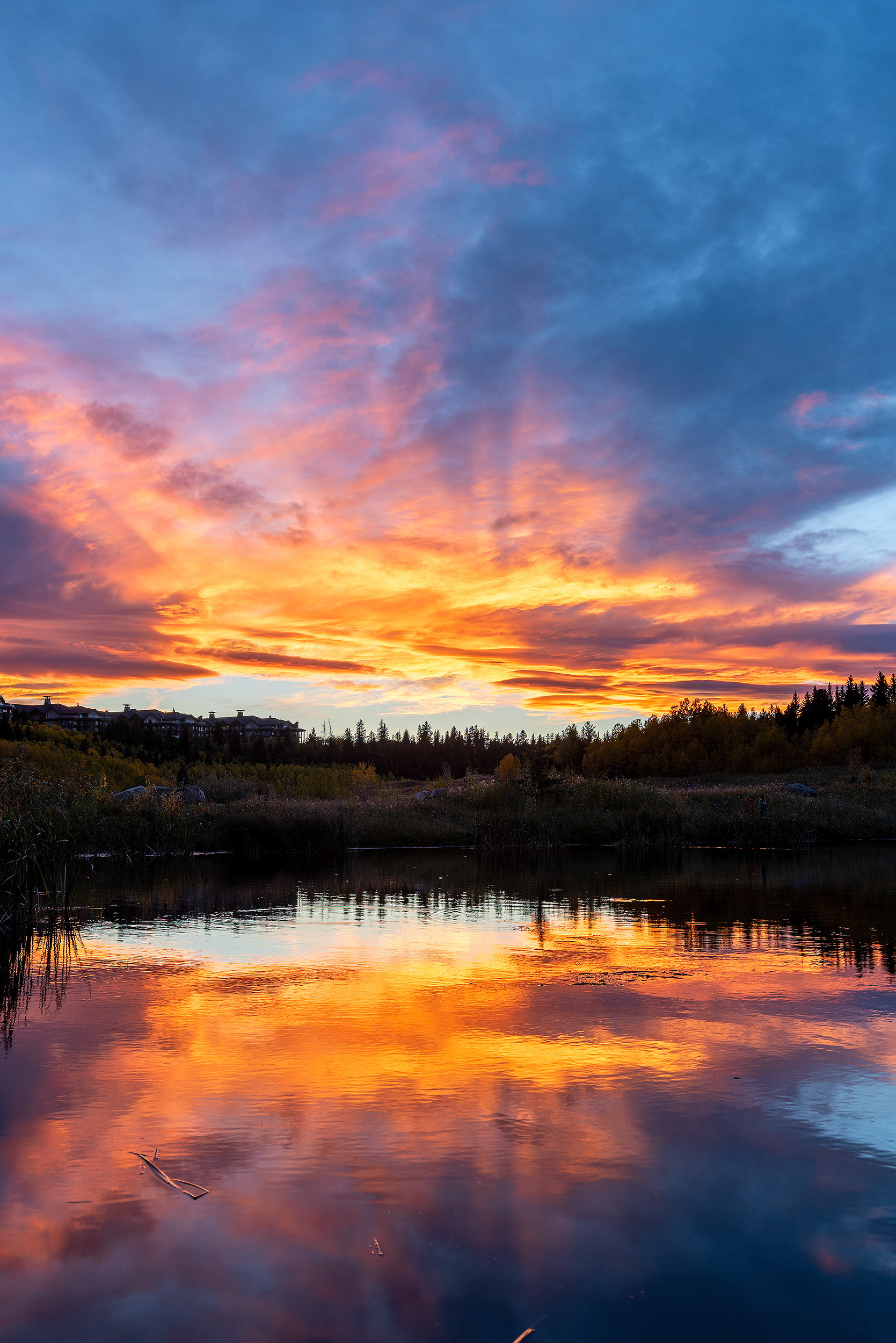 Sunset at the Marshall Springs ponds in Fish Creek Provincial Park