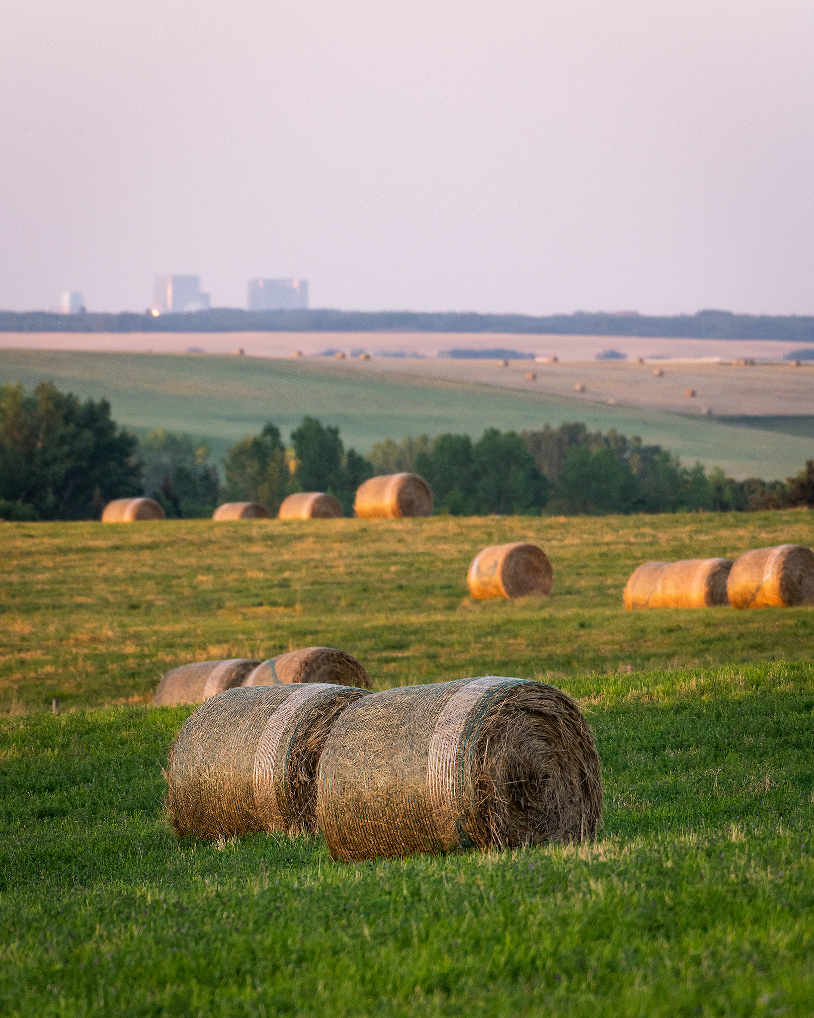Hay bails, Foothills, AB