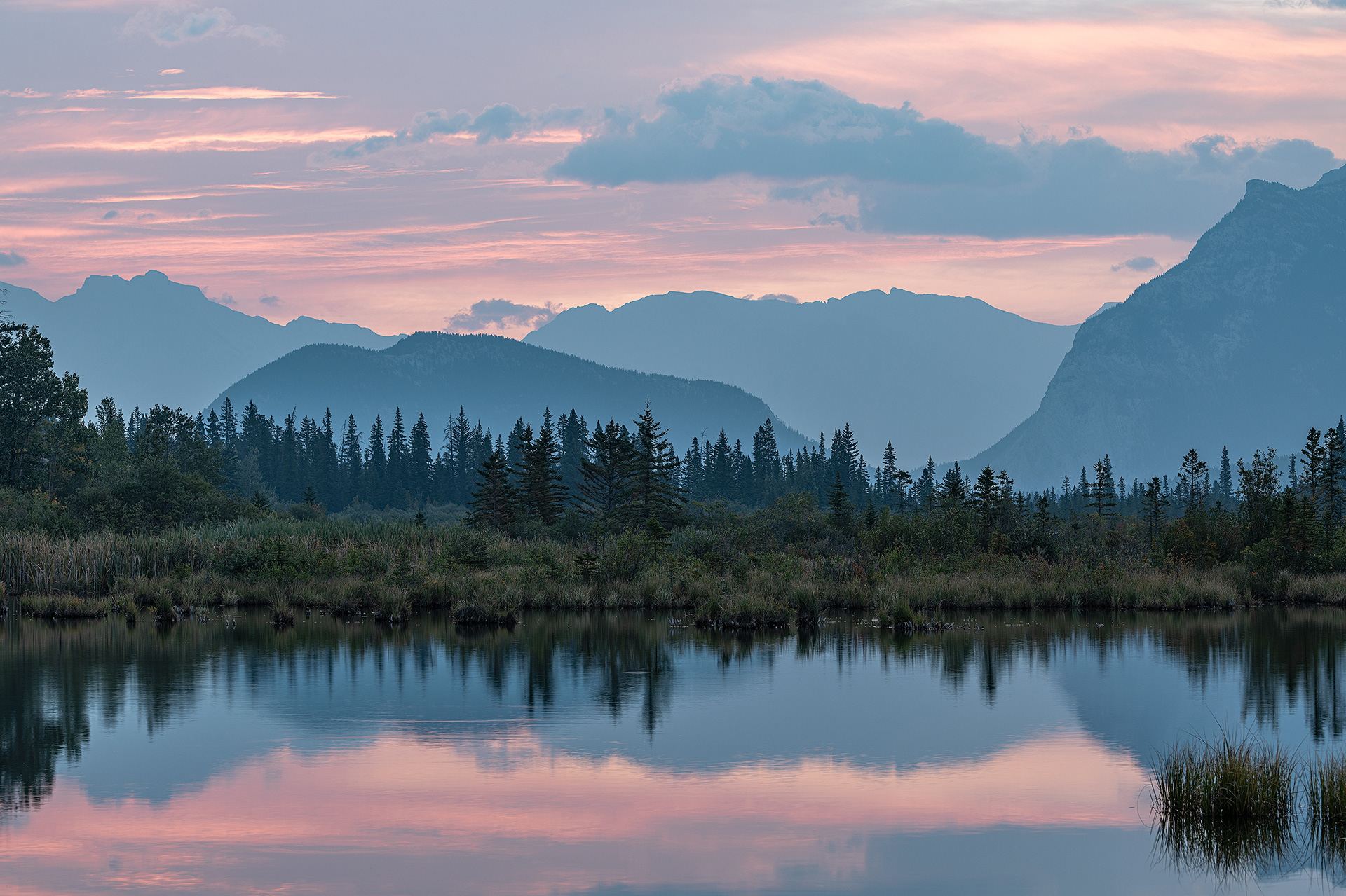 Landscape at a pond near Banff at sunrise, Banff National Park, Alberta