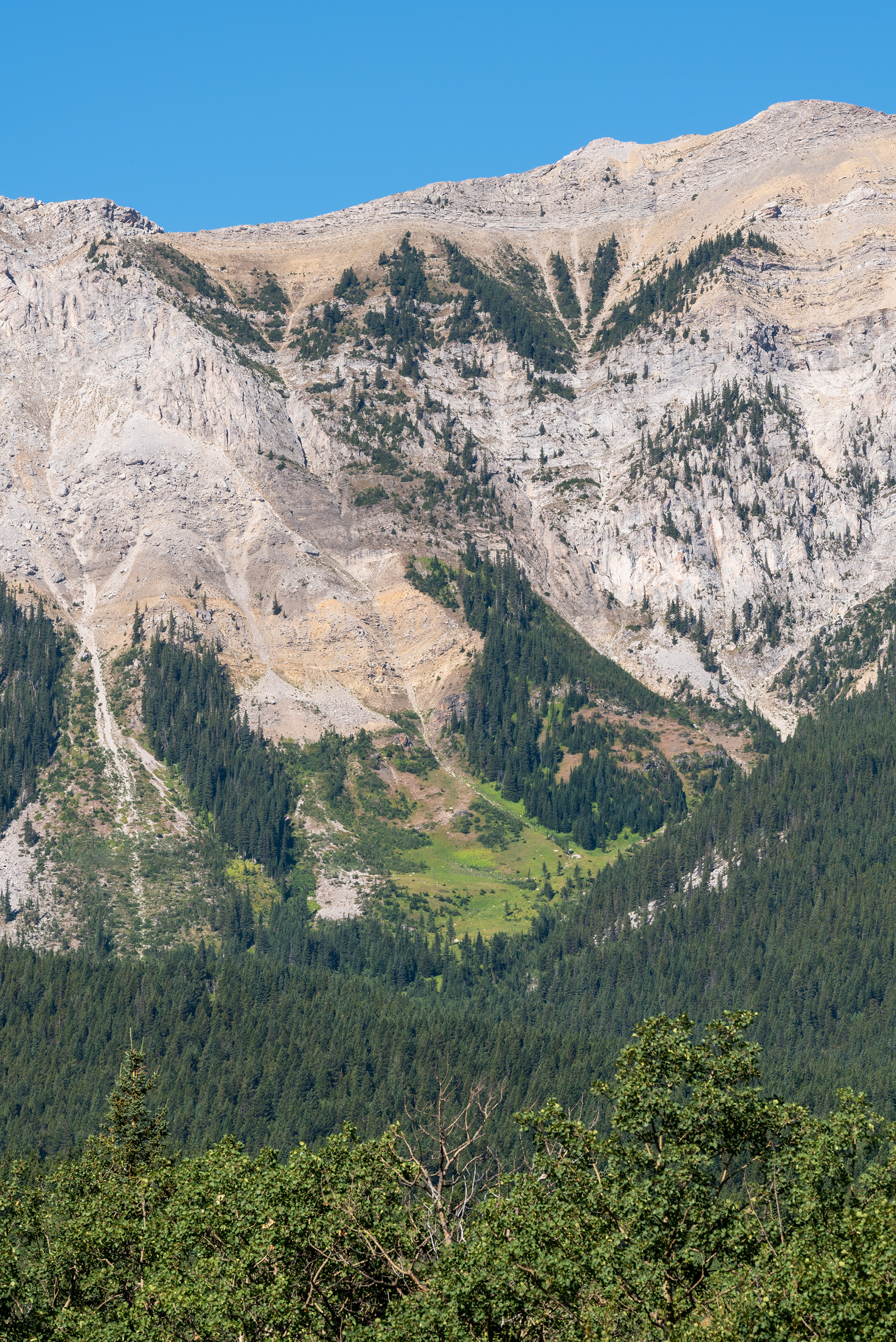 portion of the Livingstone Range