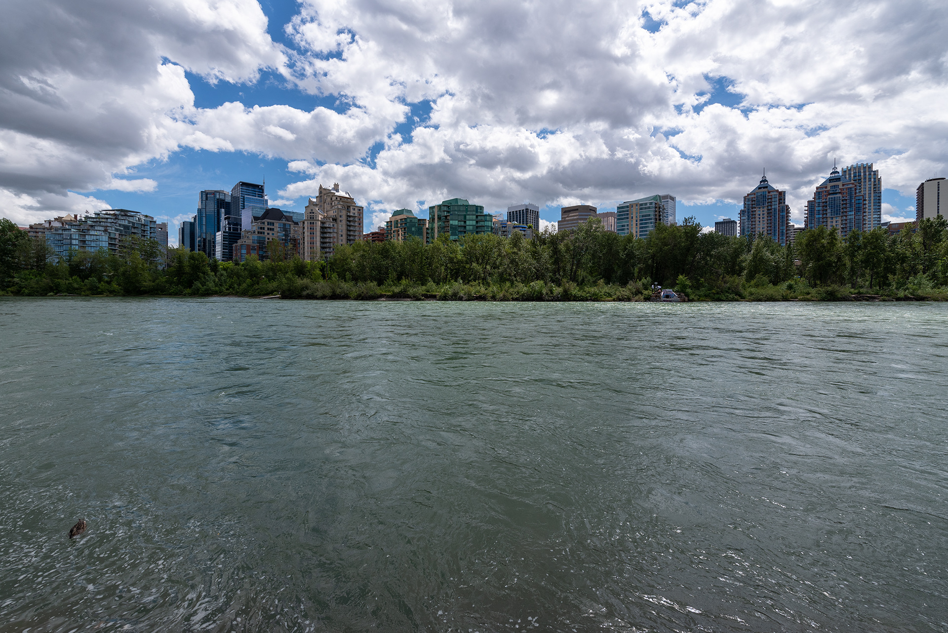 Downtown view from the Pathway alongside Memorial Drive, Calgary, Alberta