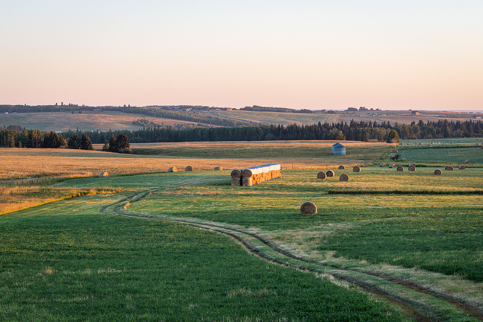 Hay bails/farm field, Foothills, AB