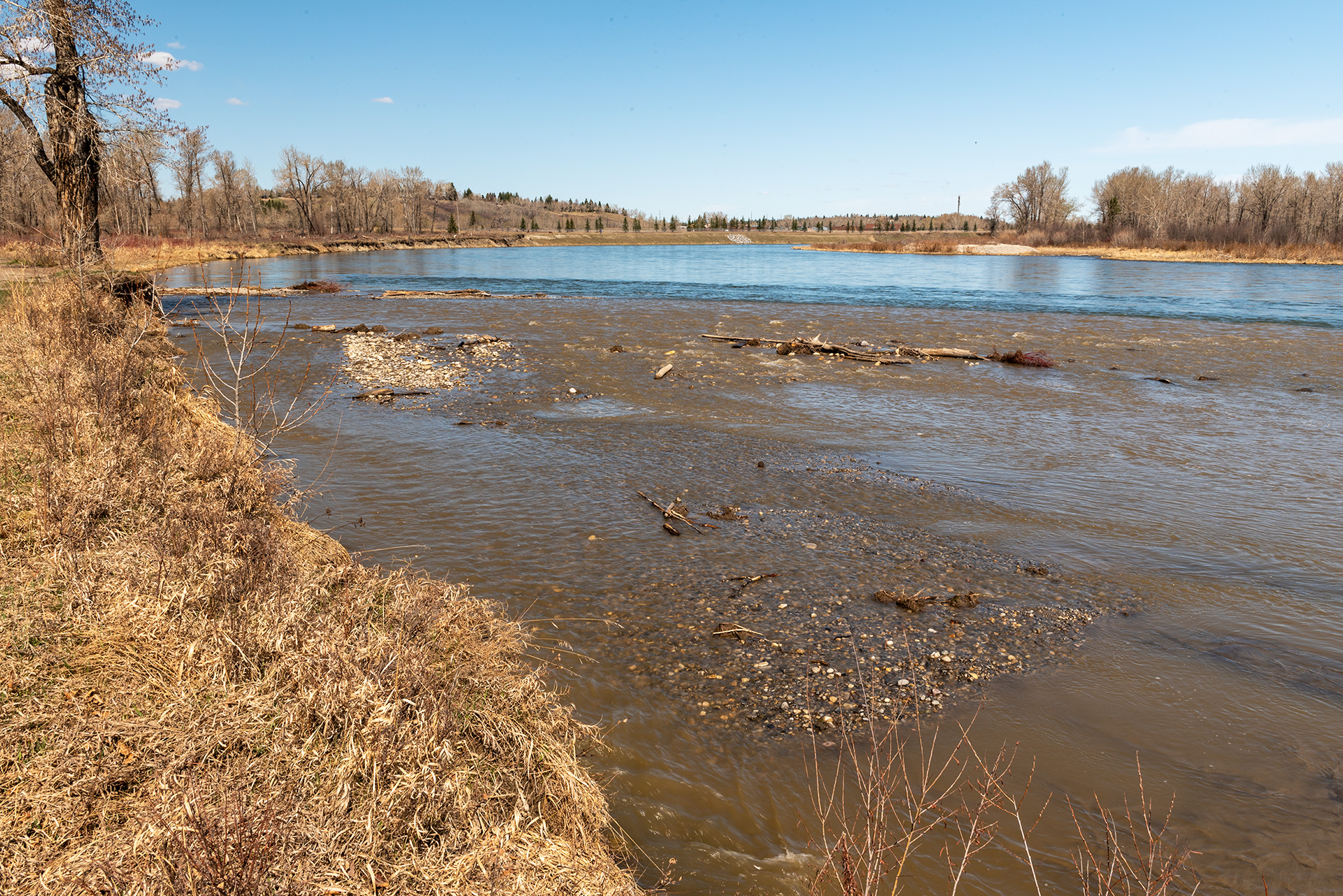 Fish Creek, Bow River, Fish Creek Provincial Park, Calgary, Alberta