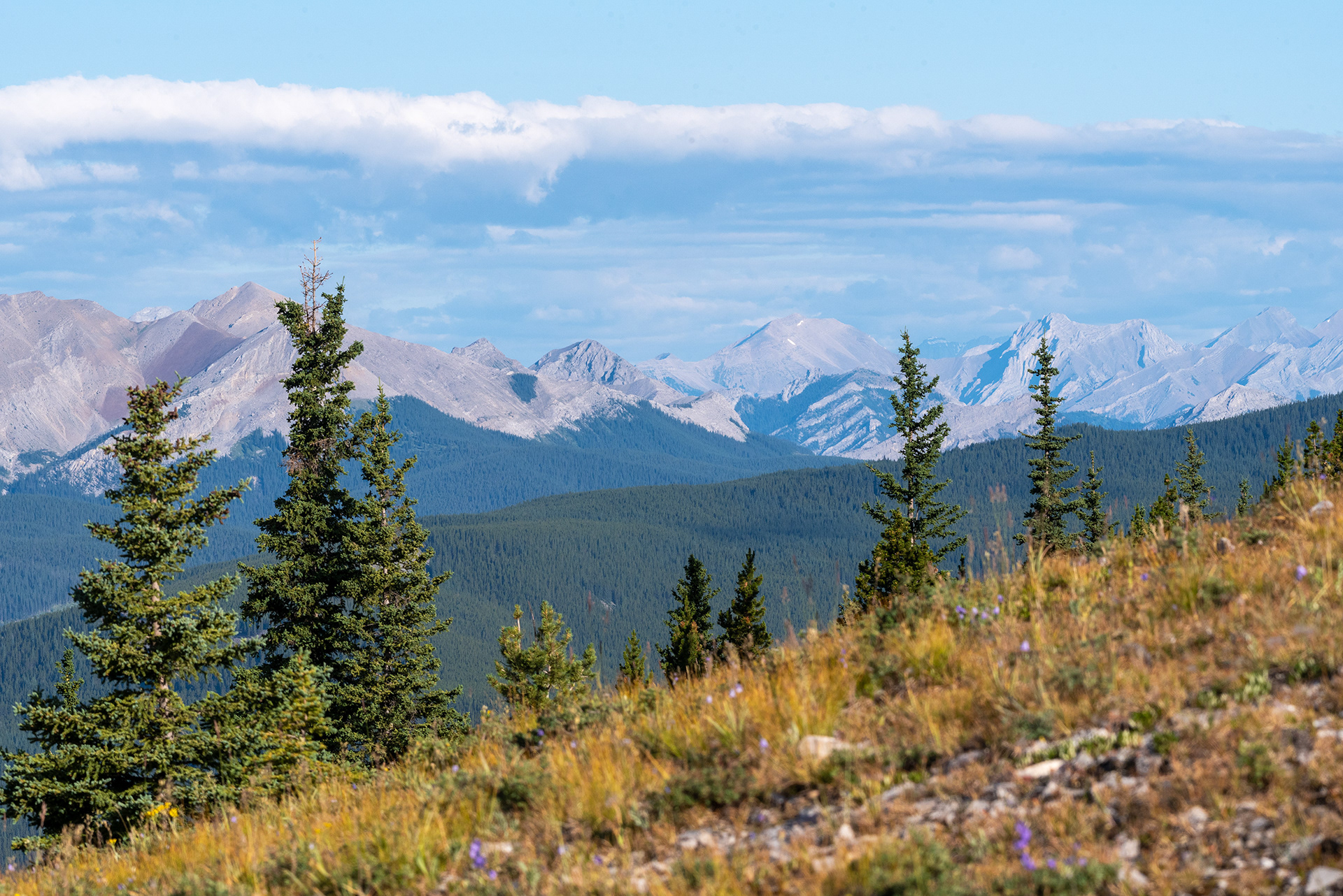 A view from part way up Prairie Mountain