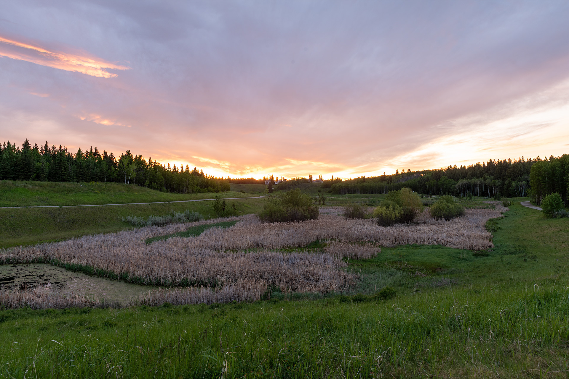 sunrise, Marshall Springs, Fish Creek Provincial Park, Calgary, Alberta