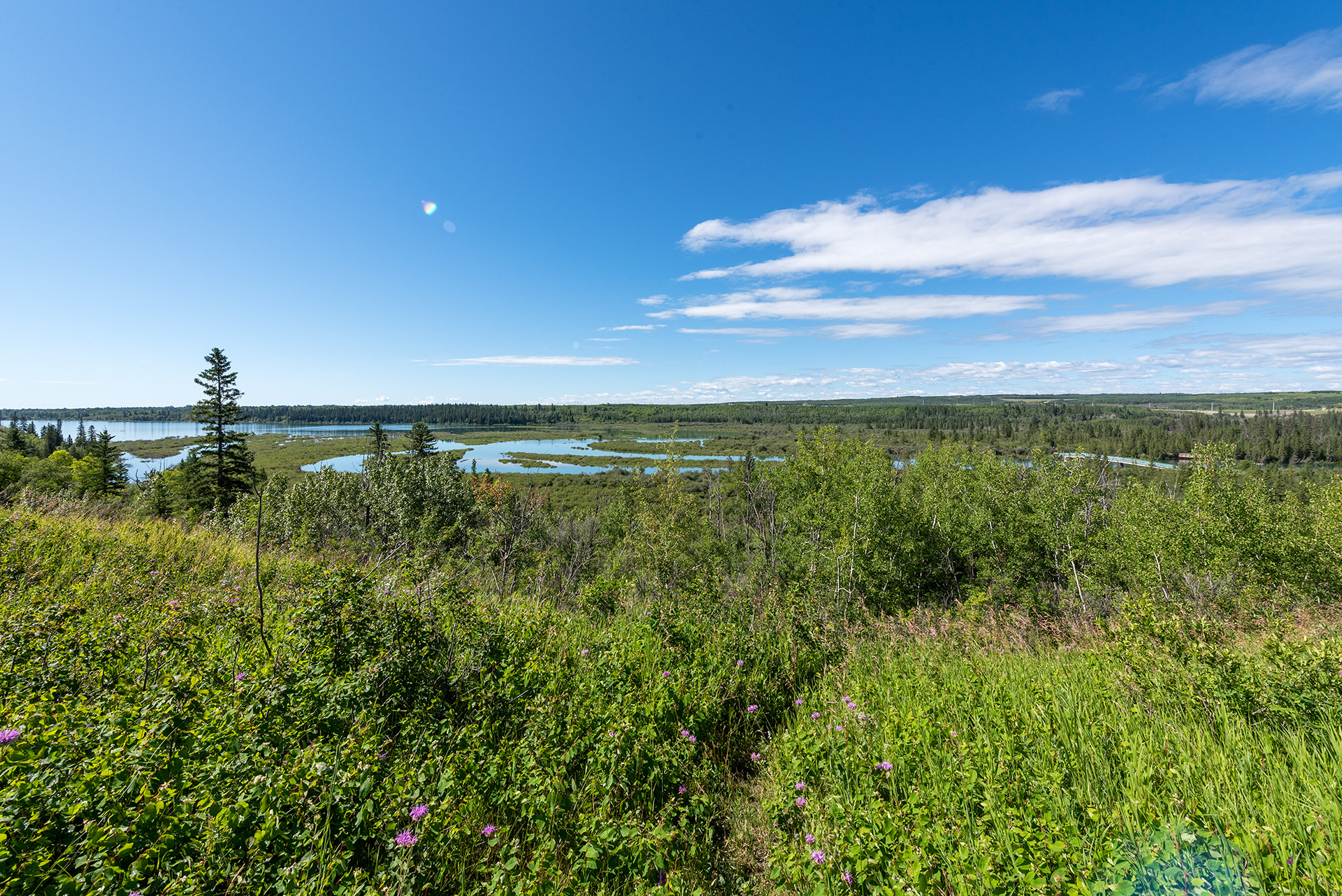 View from the ridge, overlooking the delta and Weaselhead Flats