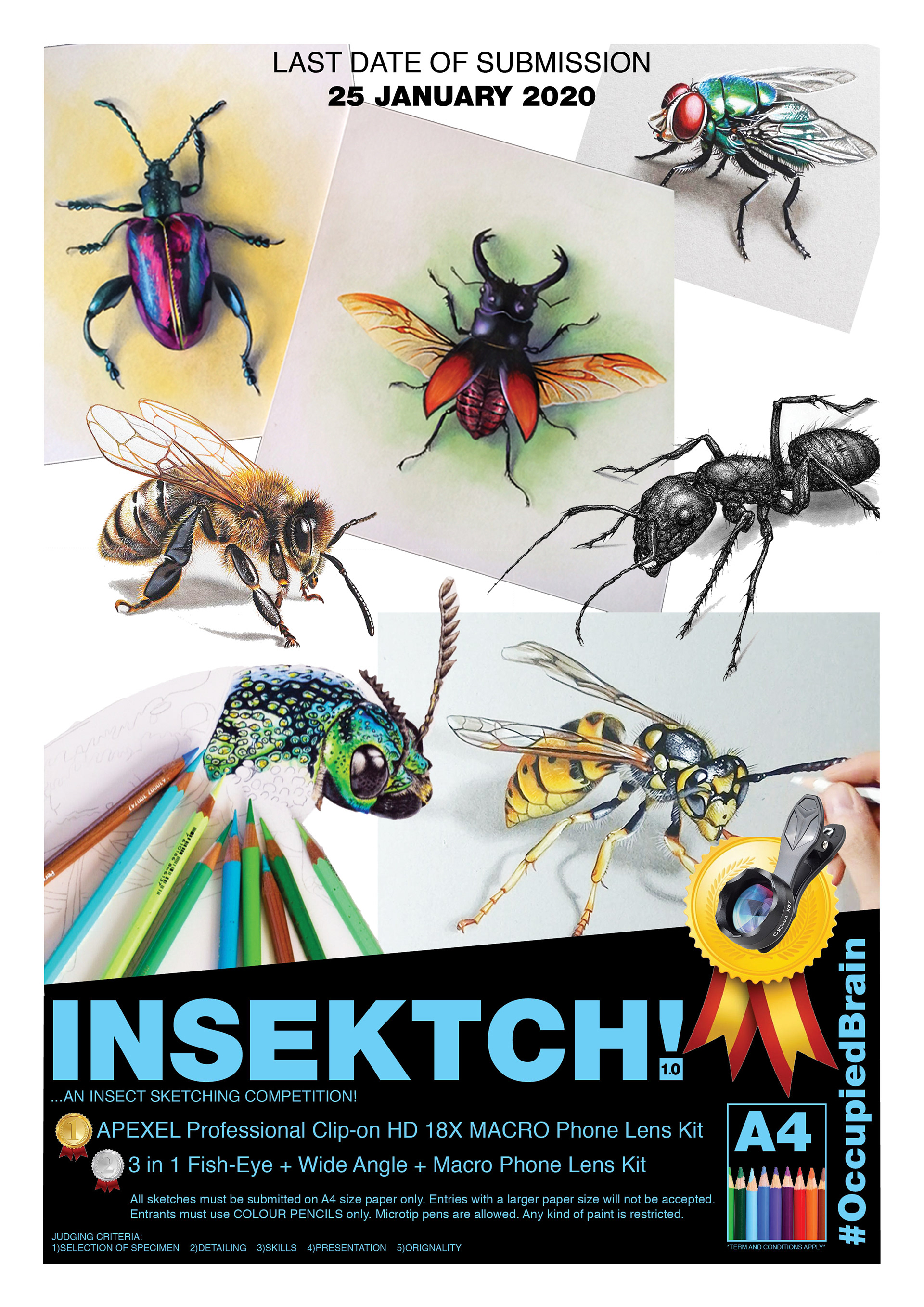 Poster for 'Insektch' - An Insect Sketching Competition