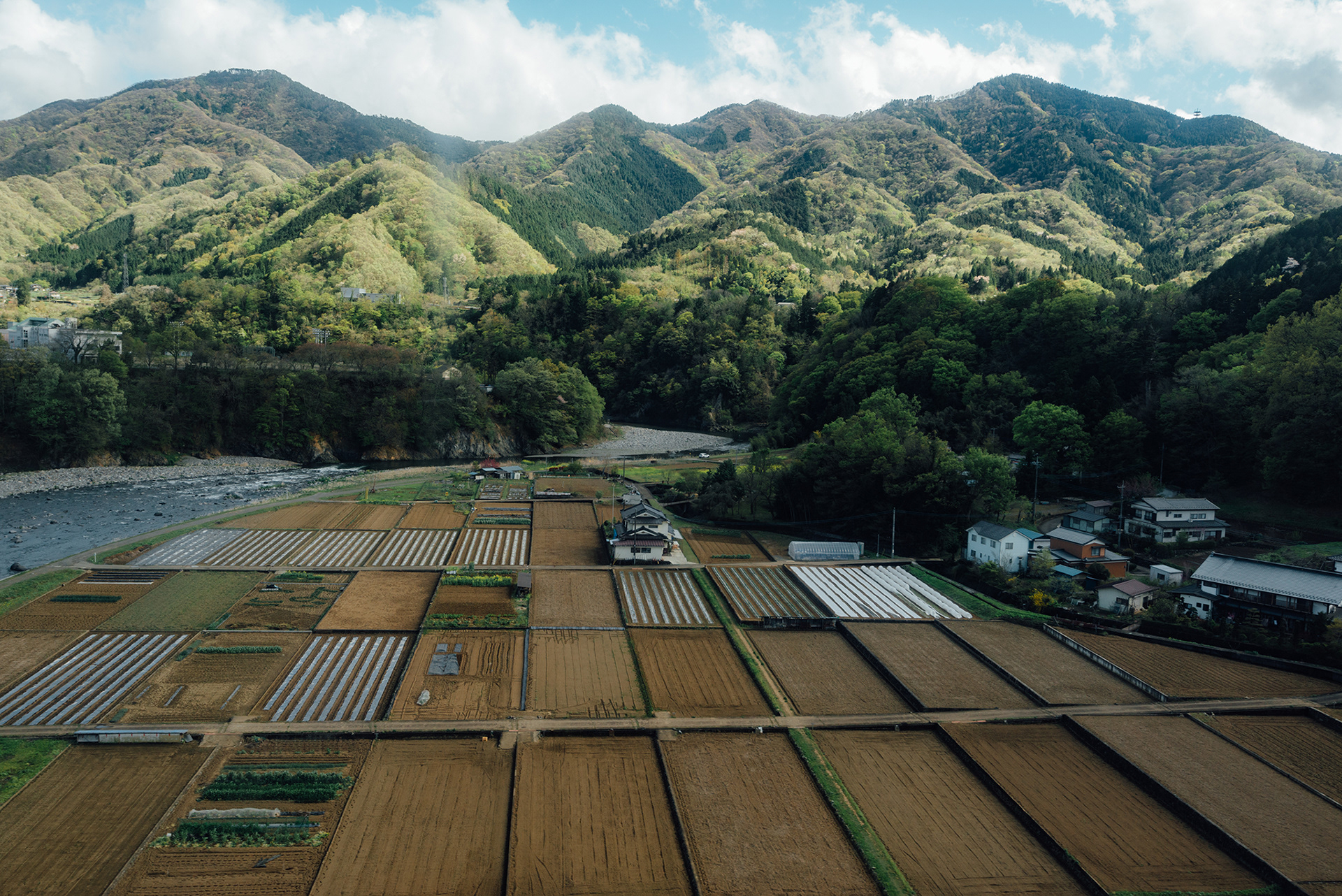 travel/street photography - Japan