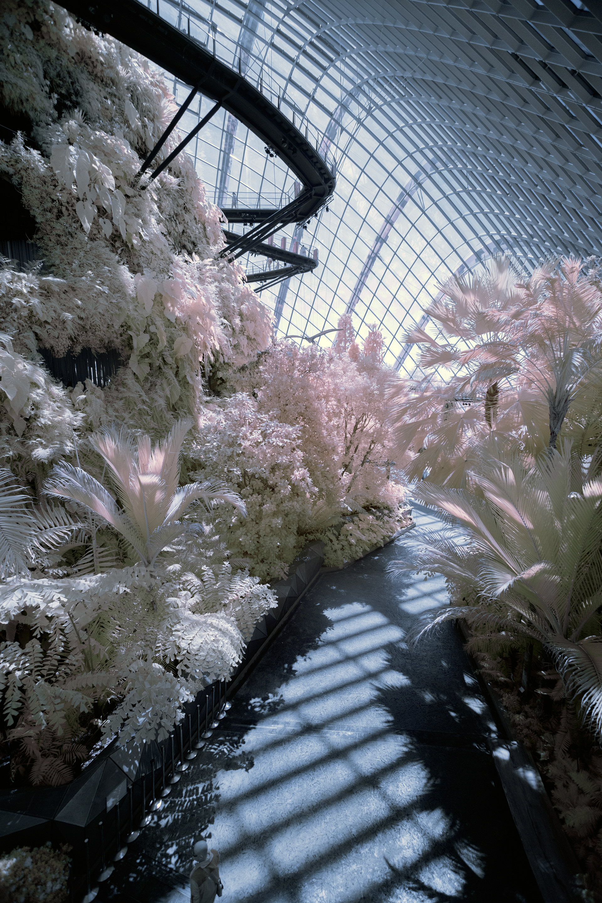 infrared photography - Singapore