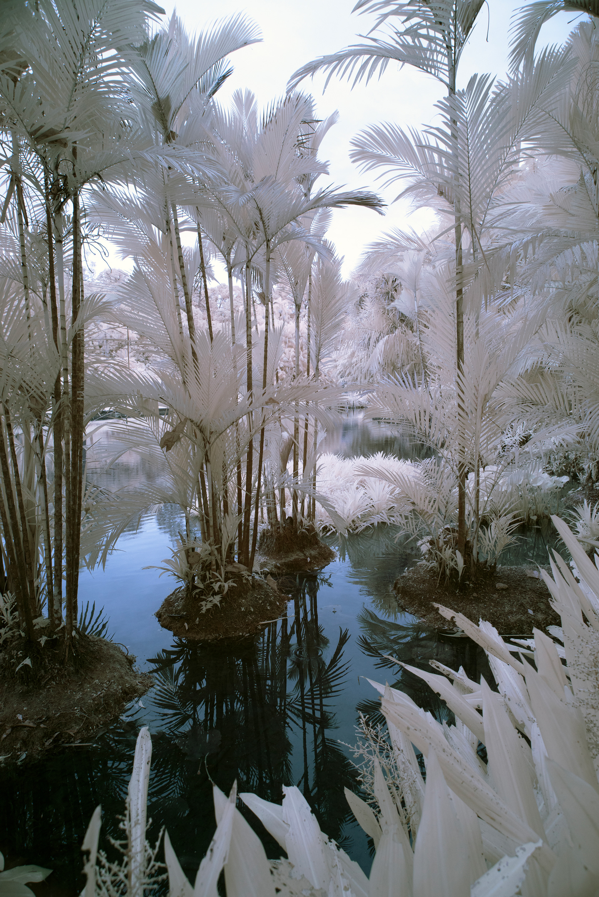 infrared photography - Singapore