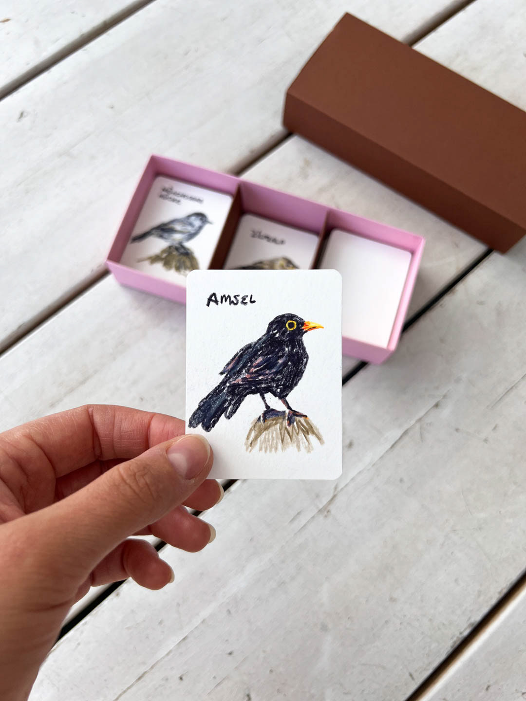 photo of hand-made card set showing illustrations of domestic birds. By Bianca Gschlecht