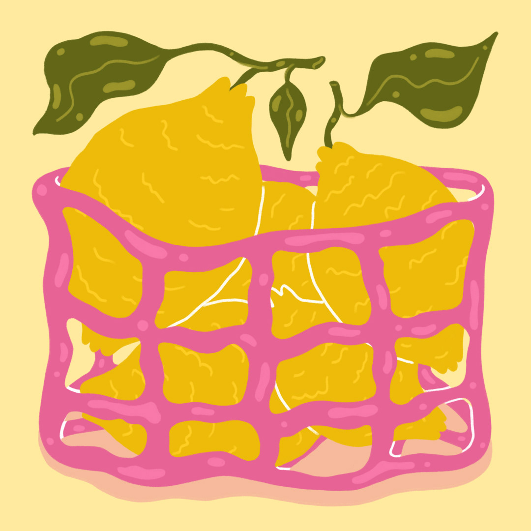 final illustration