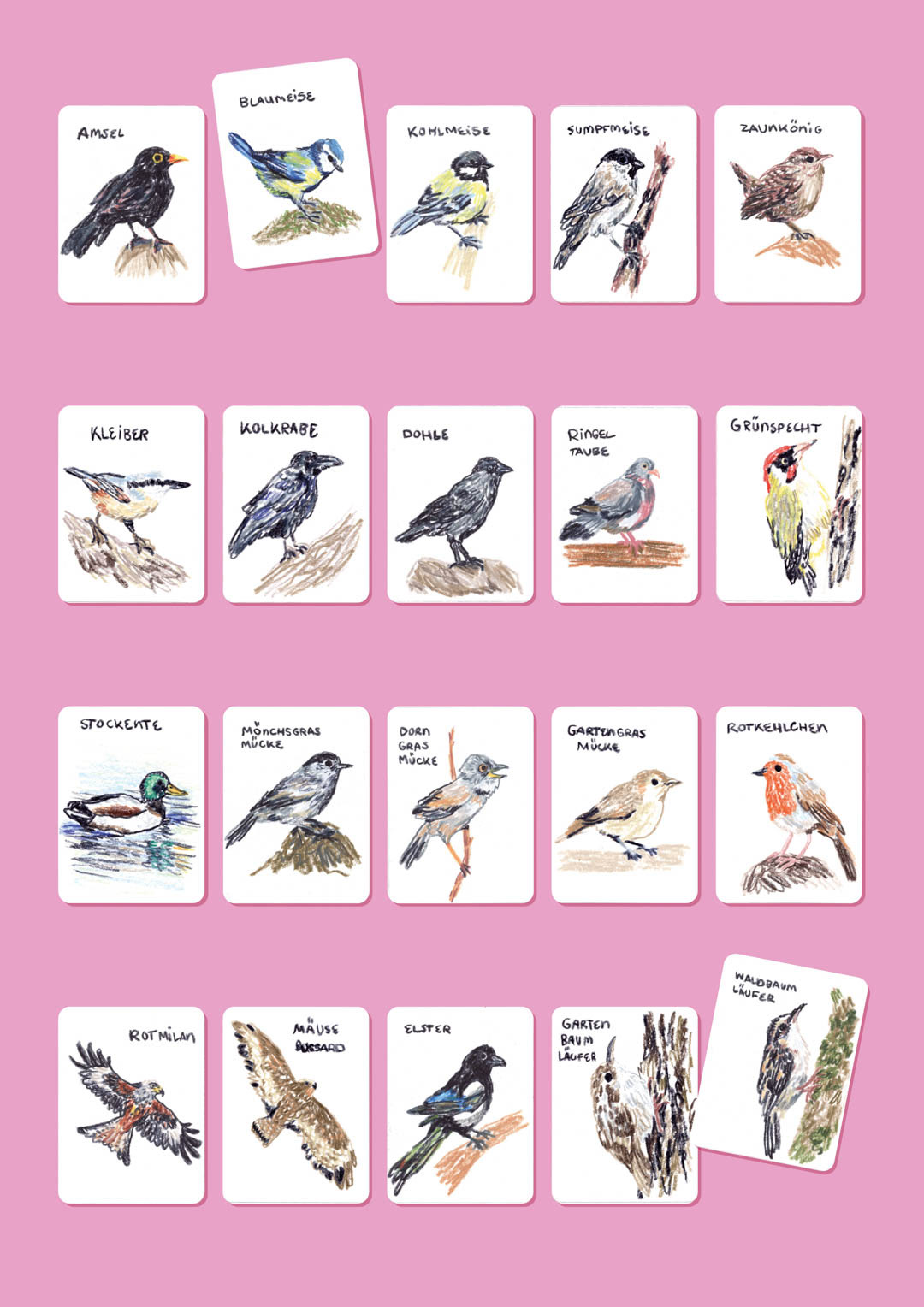 hand-drawn cards with illustrations of 20 bird species. Bianca Gschlecht