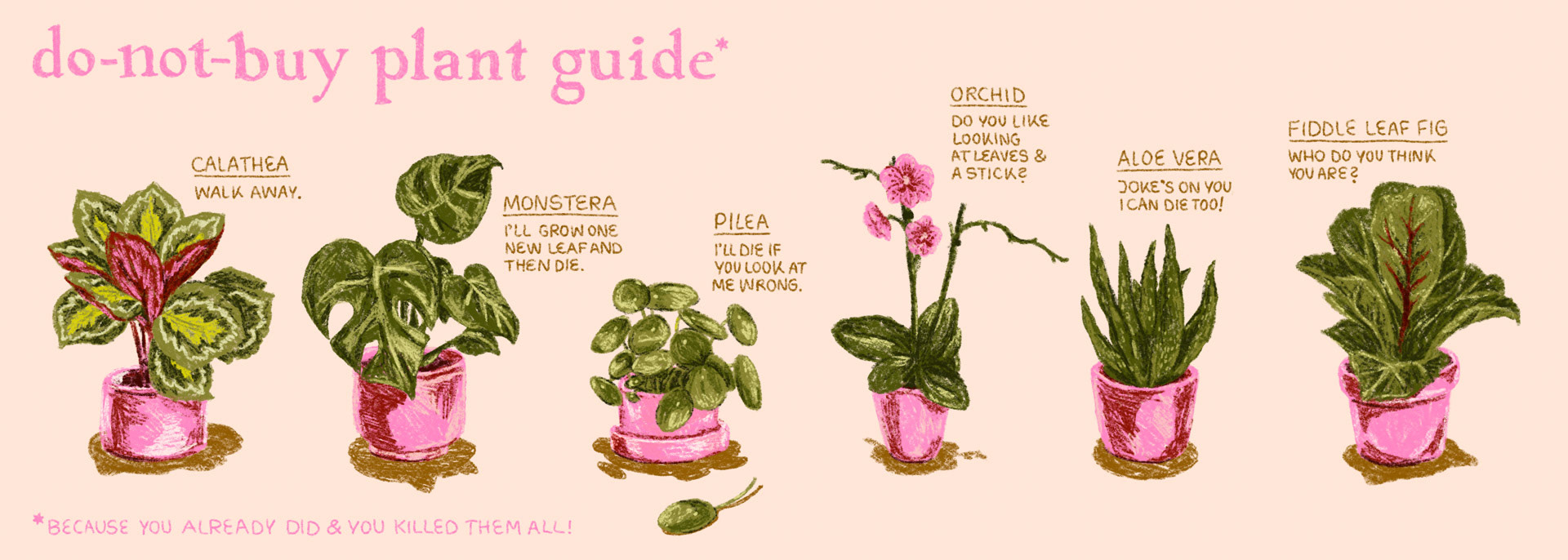 illustrated funny plant guide on what plants NOT to buy if you’re terrible at keeping plants alive as a banner by Bianca Gschlecht from Konstanz