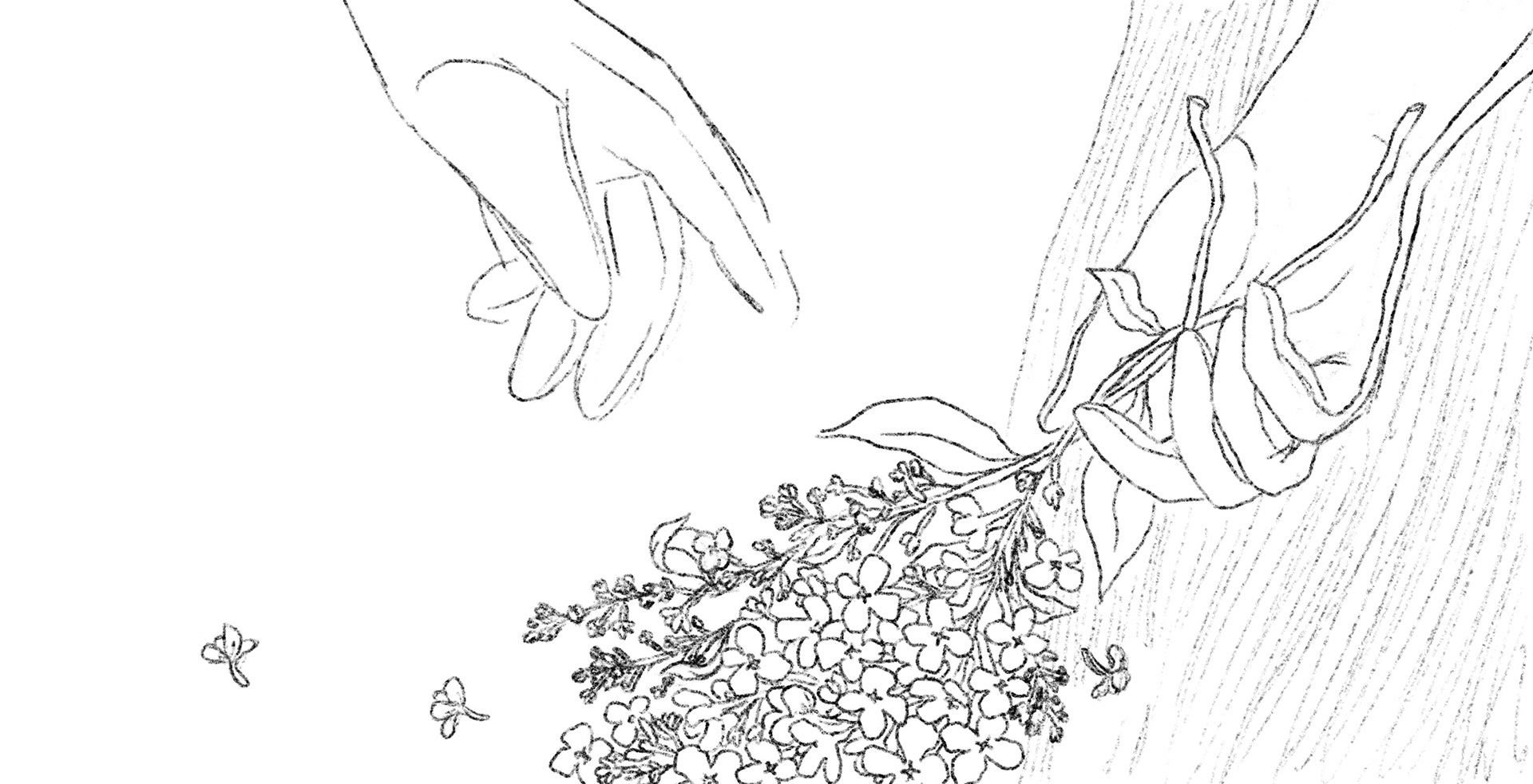 cover illustration sketch for jane austens pride and prejudice by bianca gschlecht