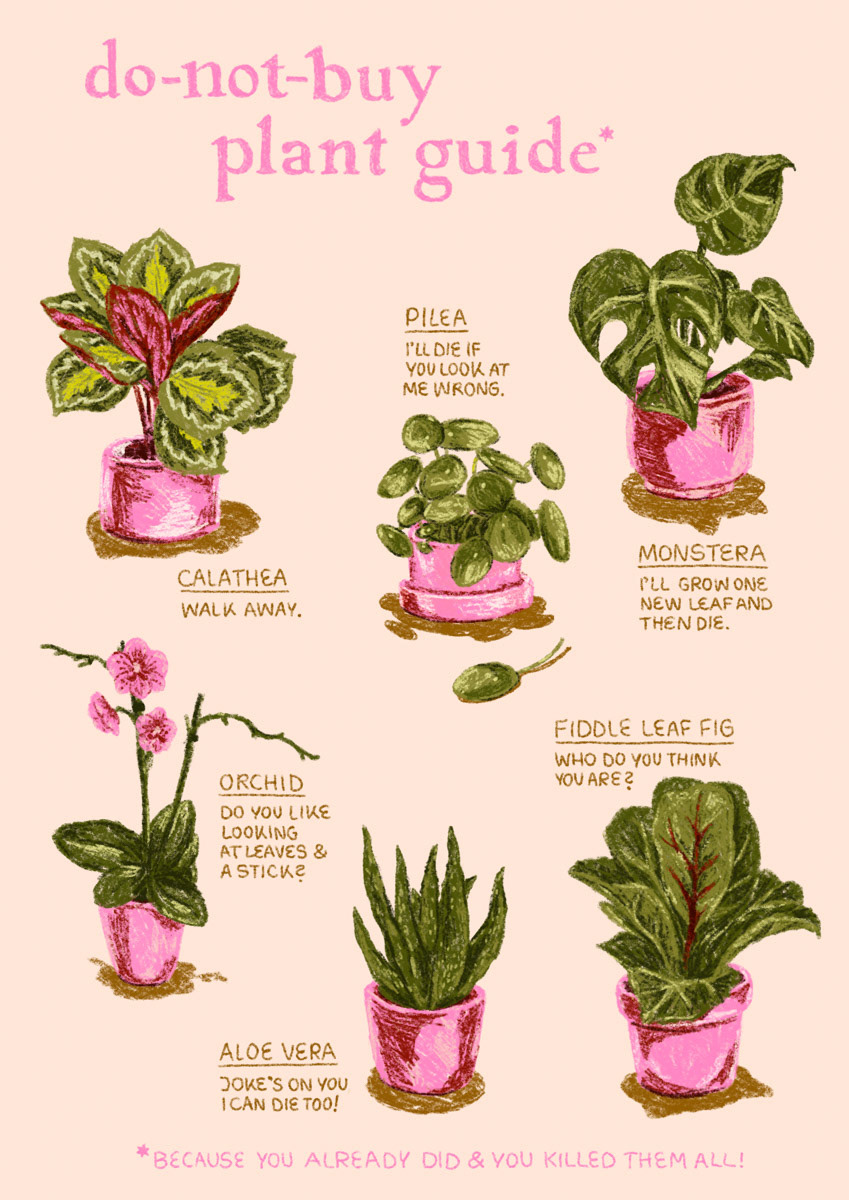 illustrated funny plant guide on what plants NOT to buy if you’re terrible at keeping plants alive by Bianca Gschlecht from Konstanz