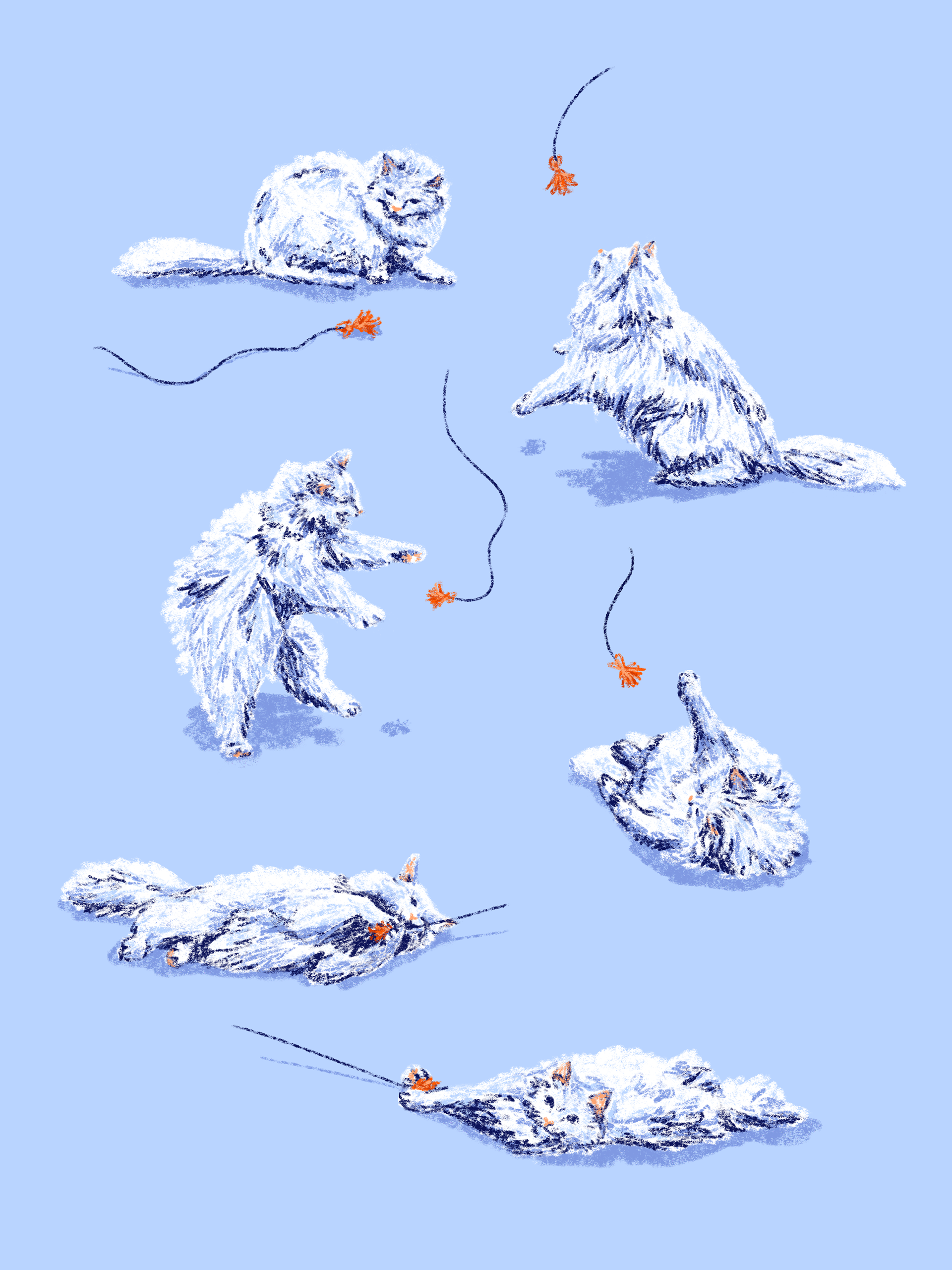 6 illustration of a cat playing with a cat toy by Bianca Gschlecht