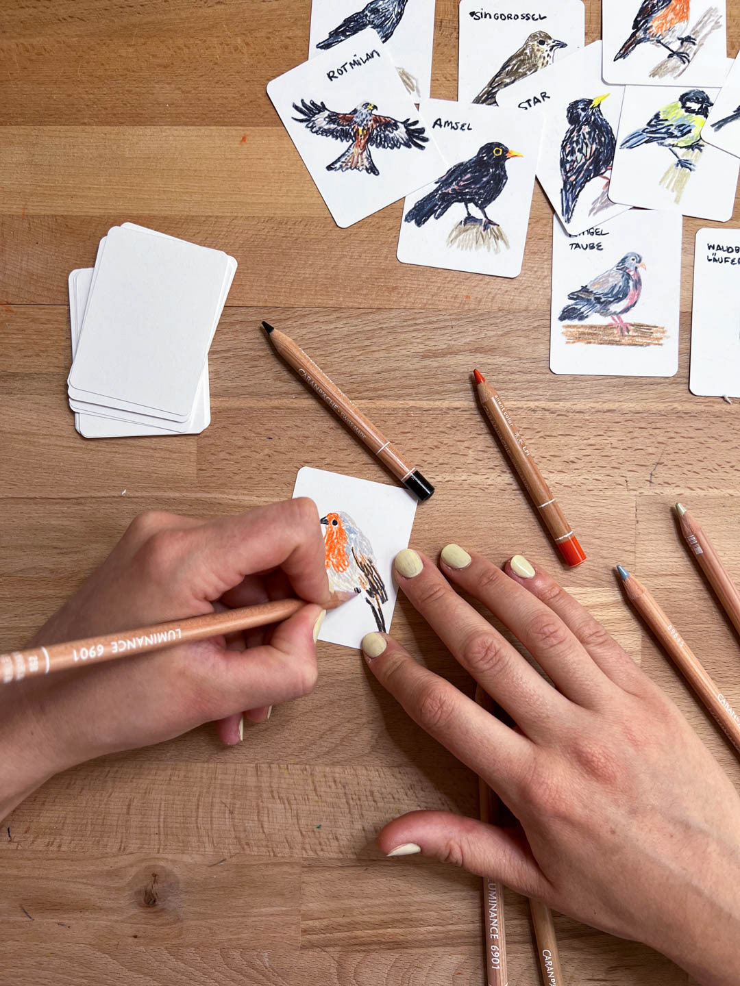illustrating the birds by hand