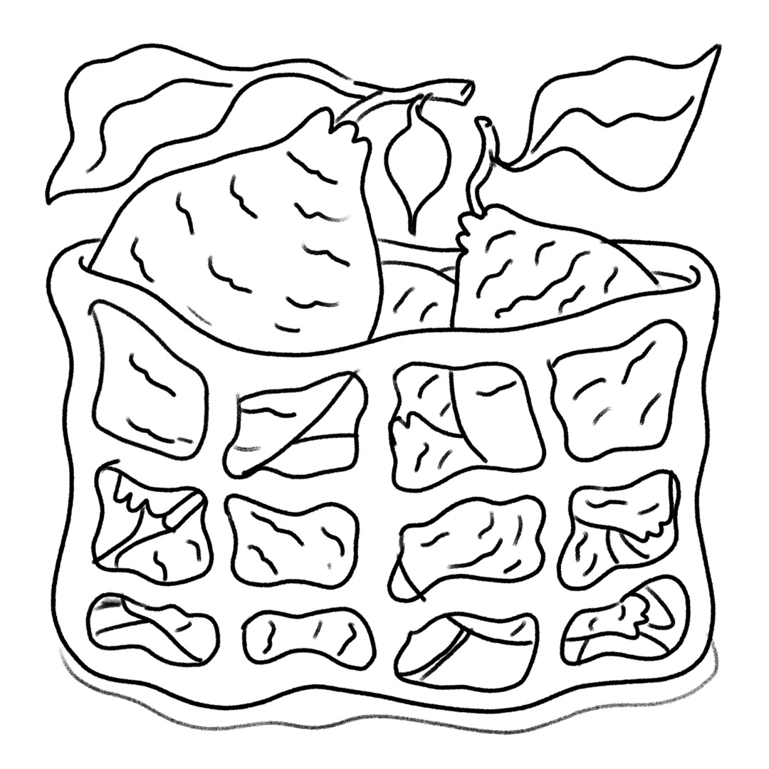 digital sketch