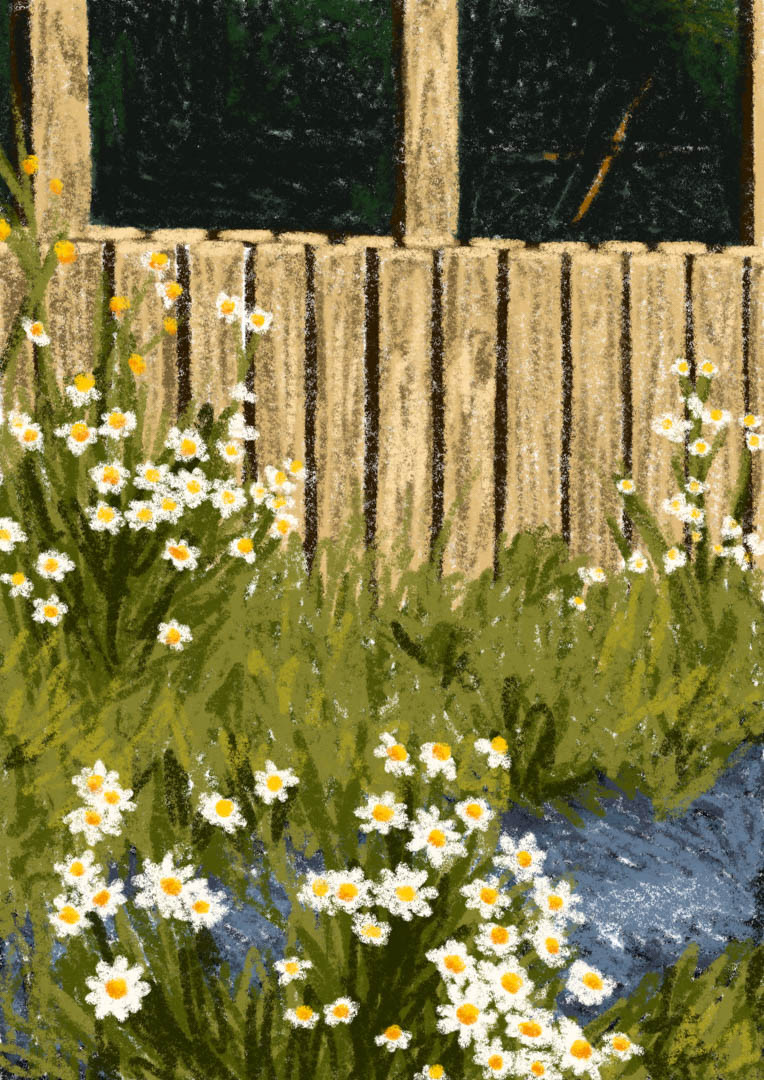 Digital illustration of some wildflowers at Café Regatta in Helsinki Finland, by German freelance illustrator Bianca Gschlecht