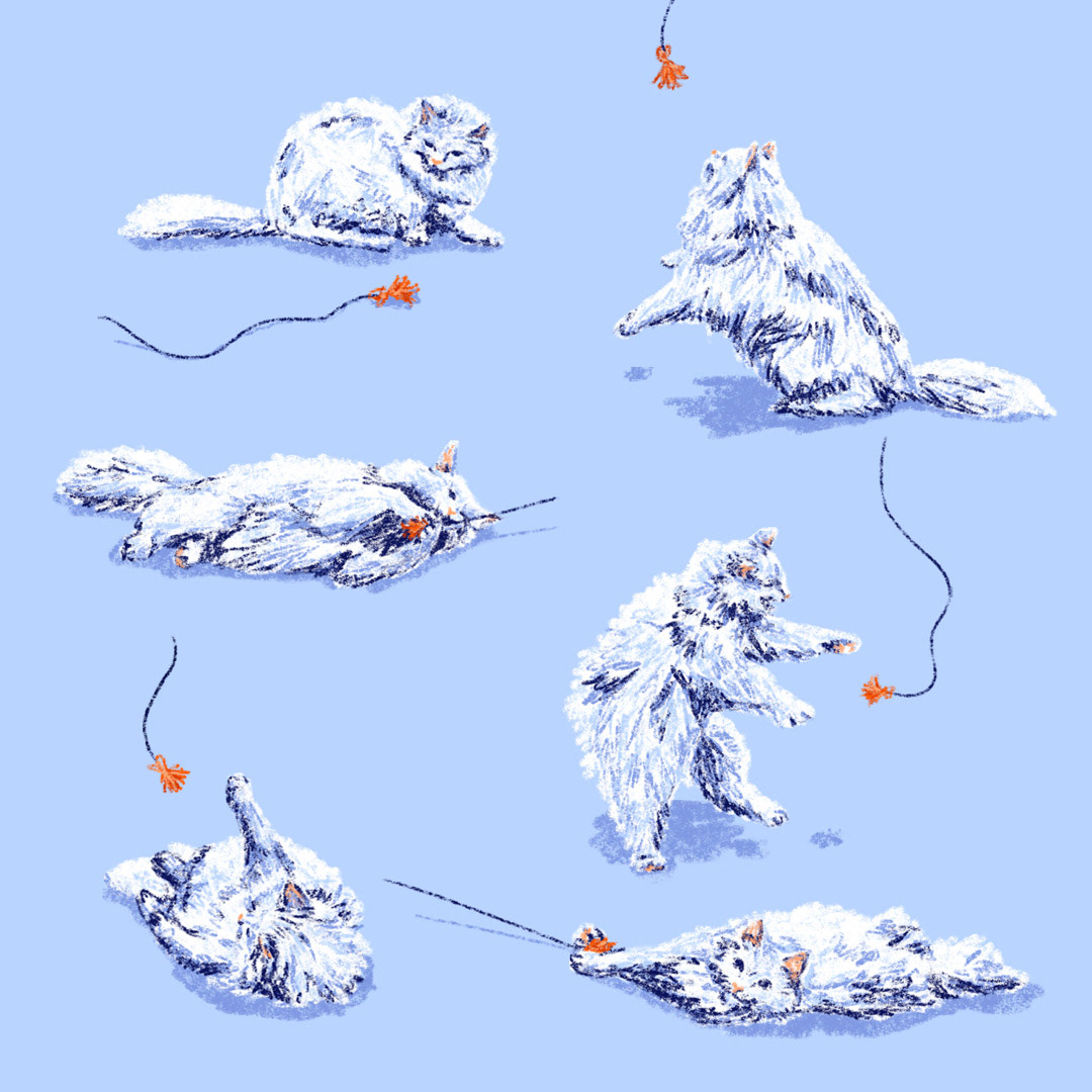 6 small illustrations of a fluffy white cat playing with a cat toy, jumping and lying down by Bianca Gschlecht.