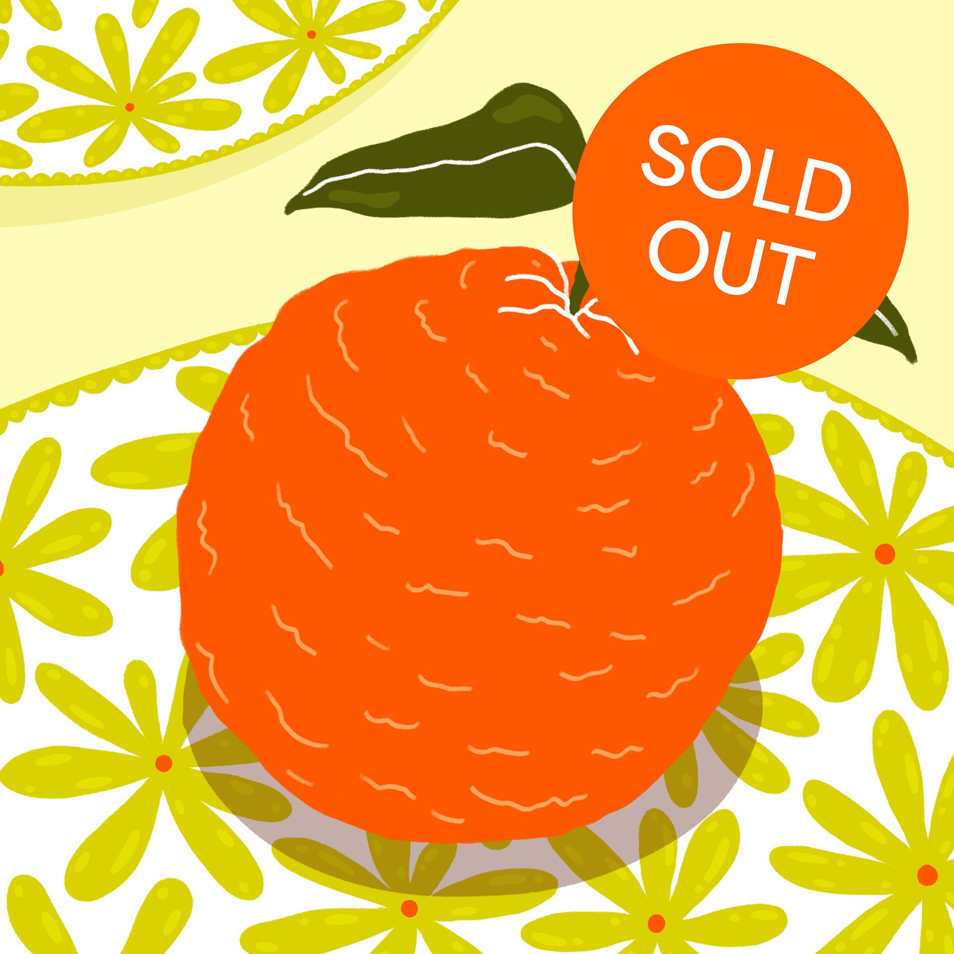 #39 SOLD OUT