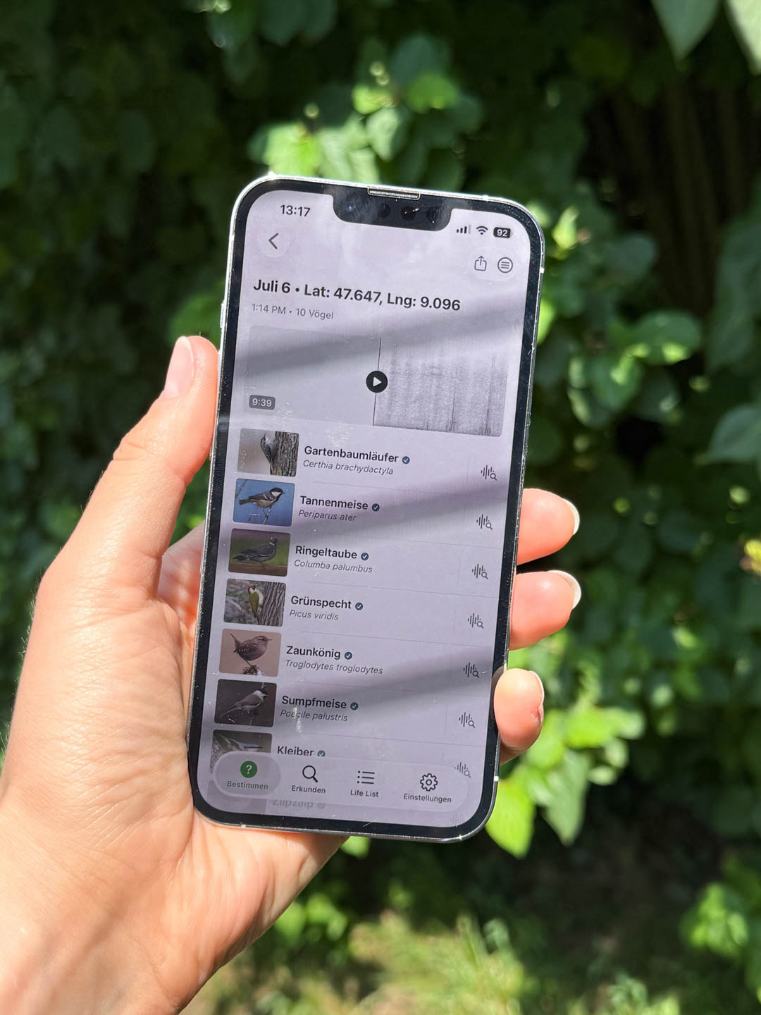 photo of iphone with opened Merlin Bird ID app. Bianca Gschlecht