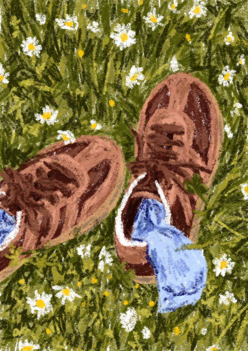 illustration of adidas shoes and socks in the grass surrounded by daisies by Bianca Gschlecht from Konstanz