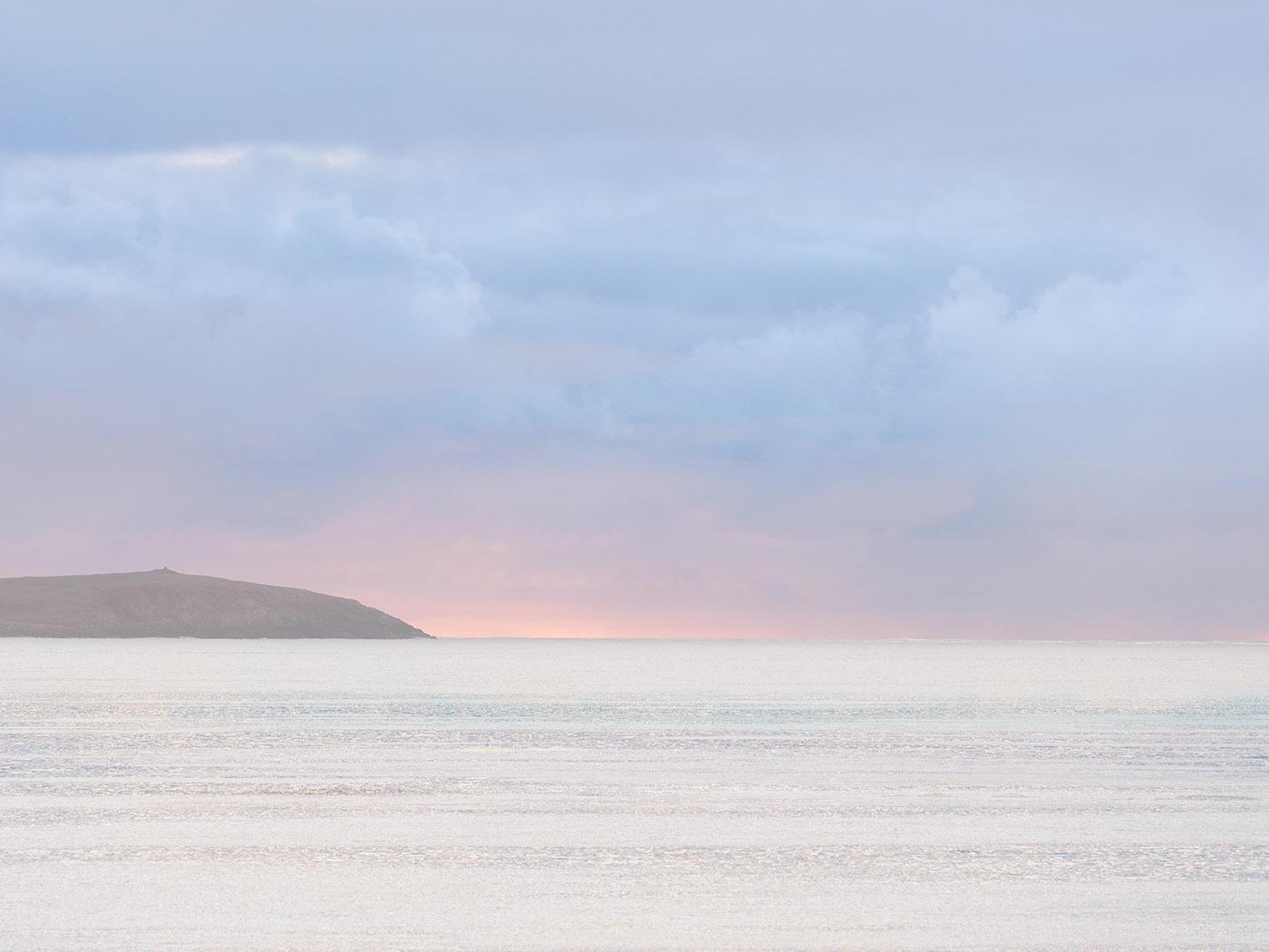 Sea Pinks II
