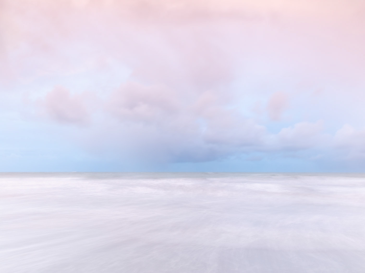 Sea Pinks I