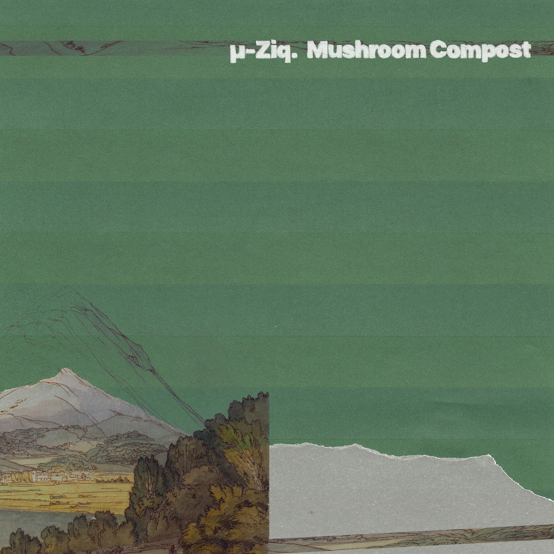 Mushroom Compost - µ-ziq