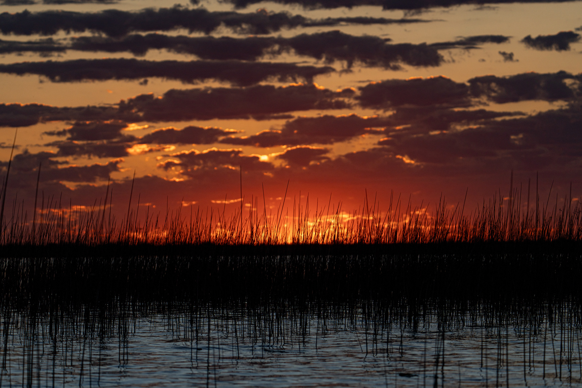 ATARDECER DE IBERÁ - 4