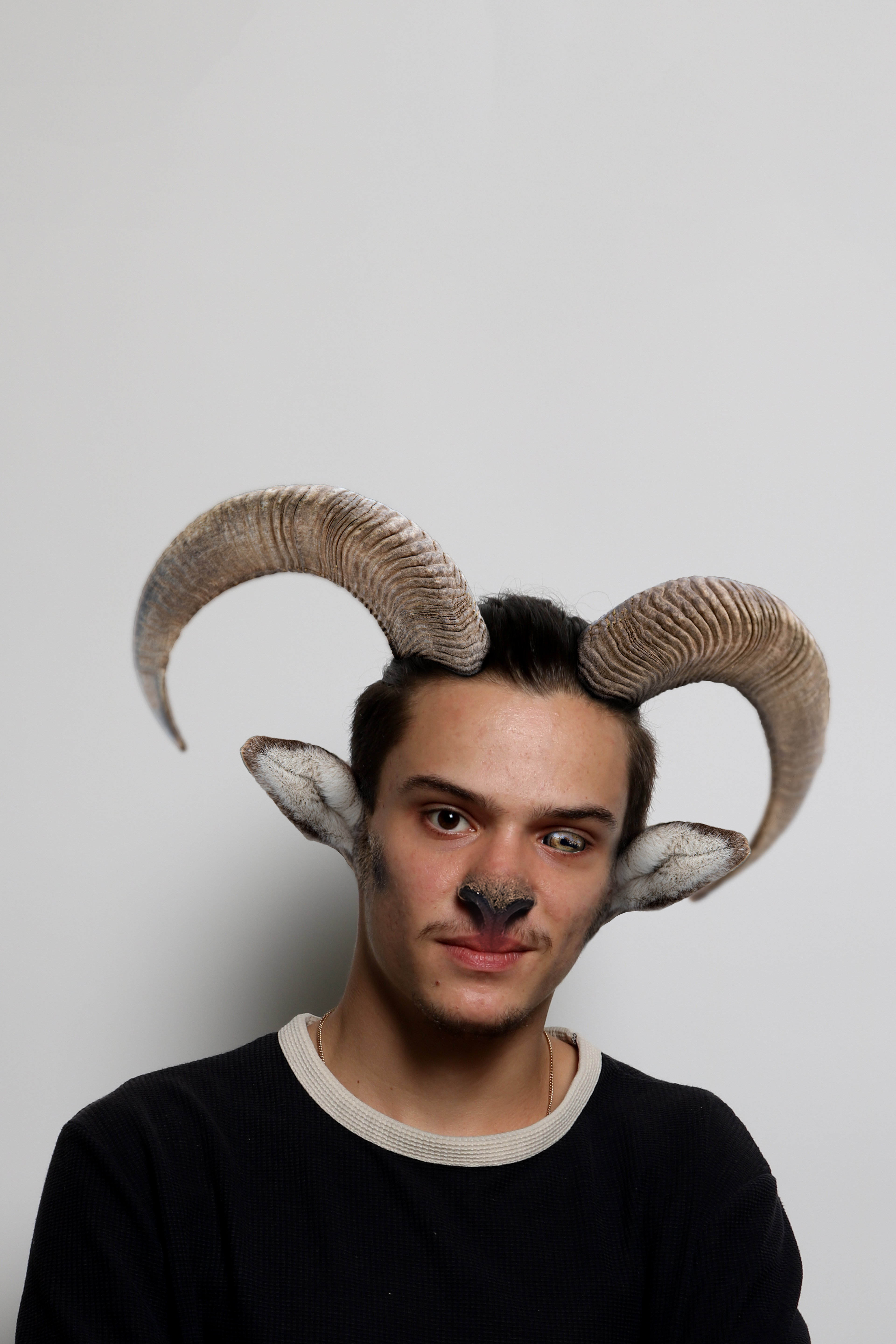 Big Horned Sheep - 2023