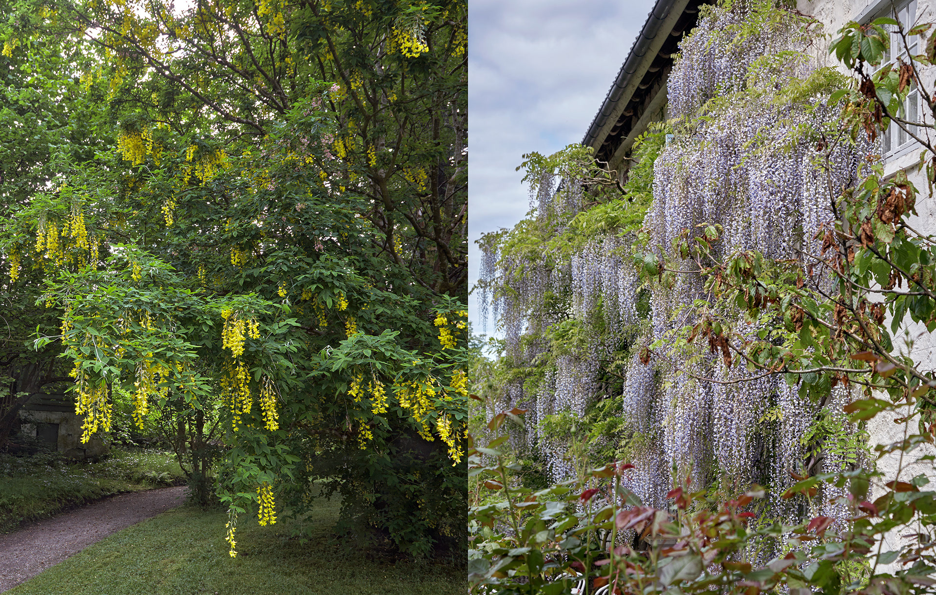 MARIANNE RAFTER IS A FASHION, PORTRAIT AND LIFESTYLE PHOTOGRAPHER BASED IN NEW YORK