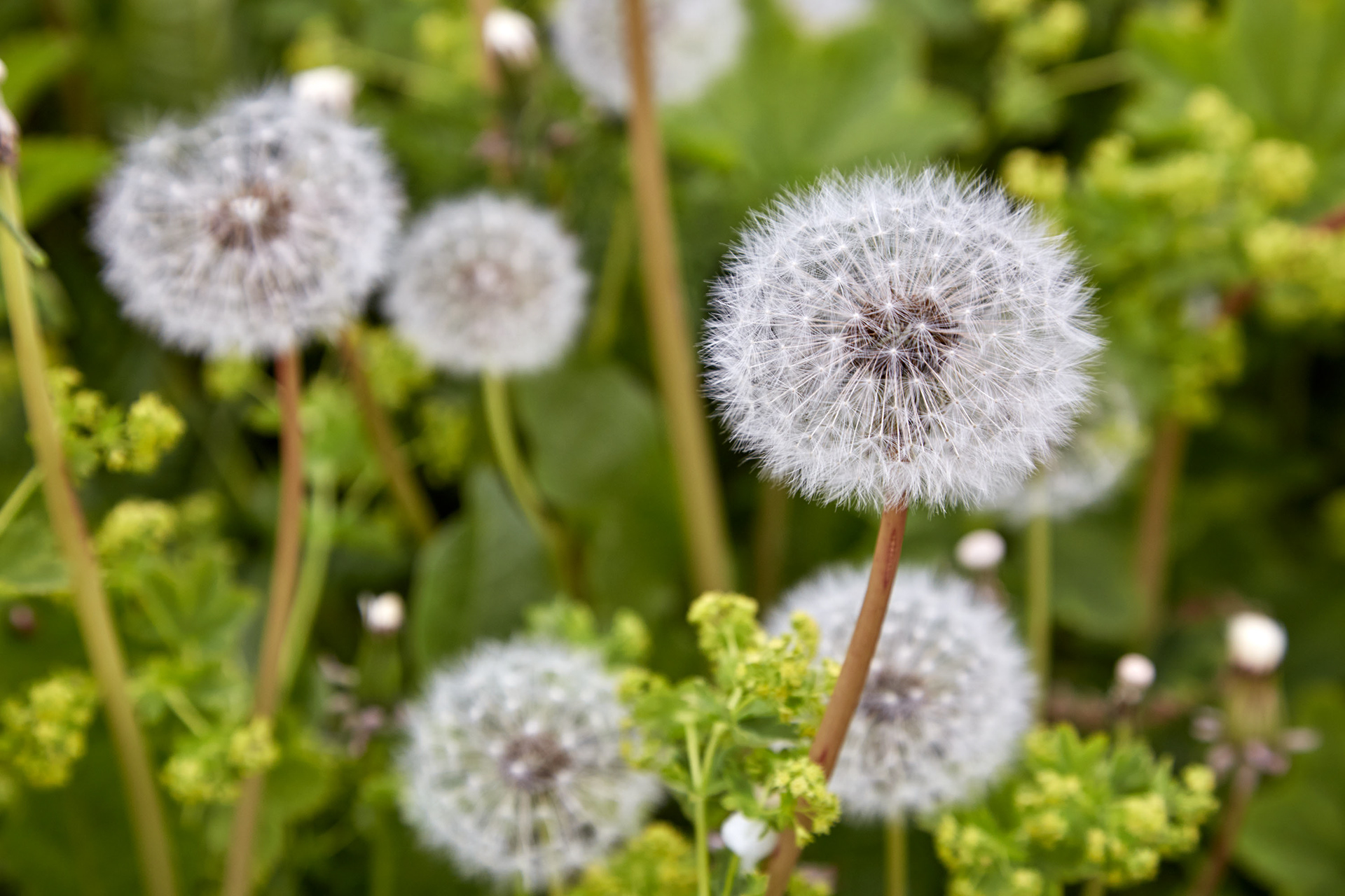 MARIANNE RAFTER IS A FASHION, PORTRAIT AND LIFESTYLE PHOTOGRAPHER NEW YORK