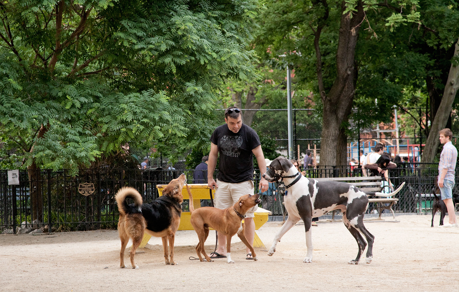 MARIANNE RAFTER IS A FASHION, PORTRAIT AND LIFESTYLE PHOTOGRAPHER BASED IN NEW YORK travel new york city manhattan