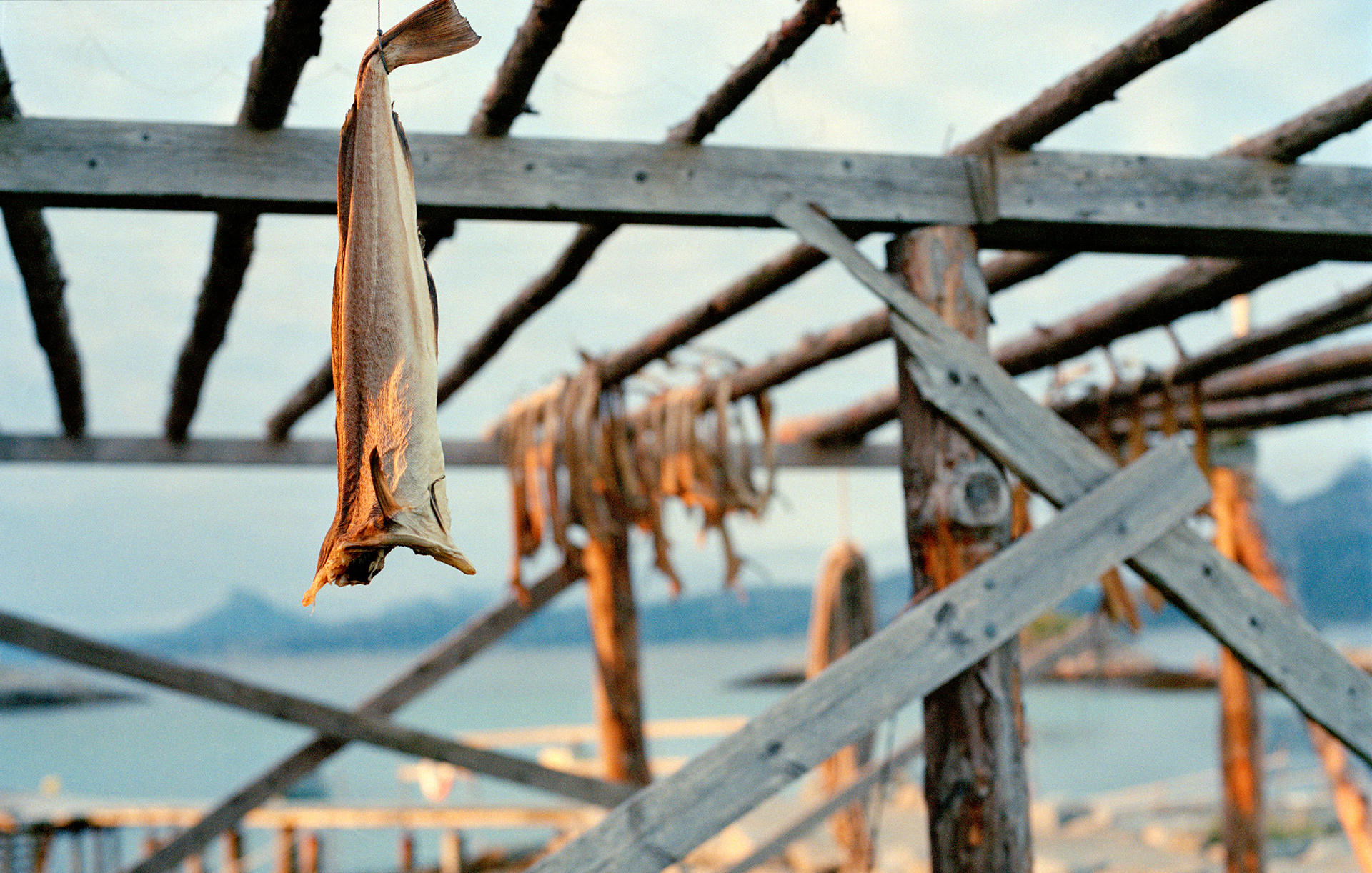 MARIANNE RAFTER IS A FASHION, PORTRAIT AND LIFESTYLE PHOTOGRAPHER NEW YORK